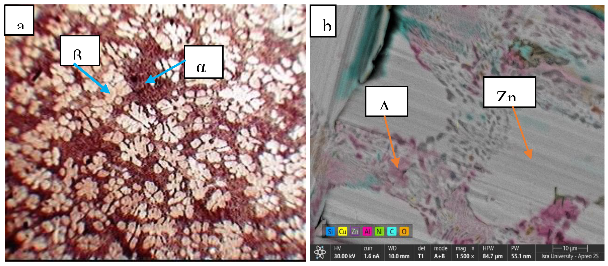 Preprints 218862 g011