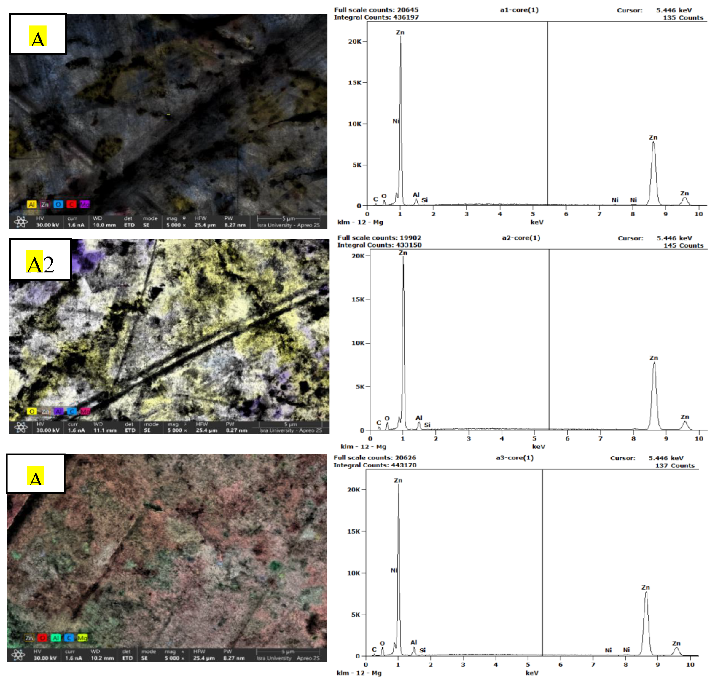 Preprints 218862 g013