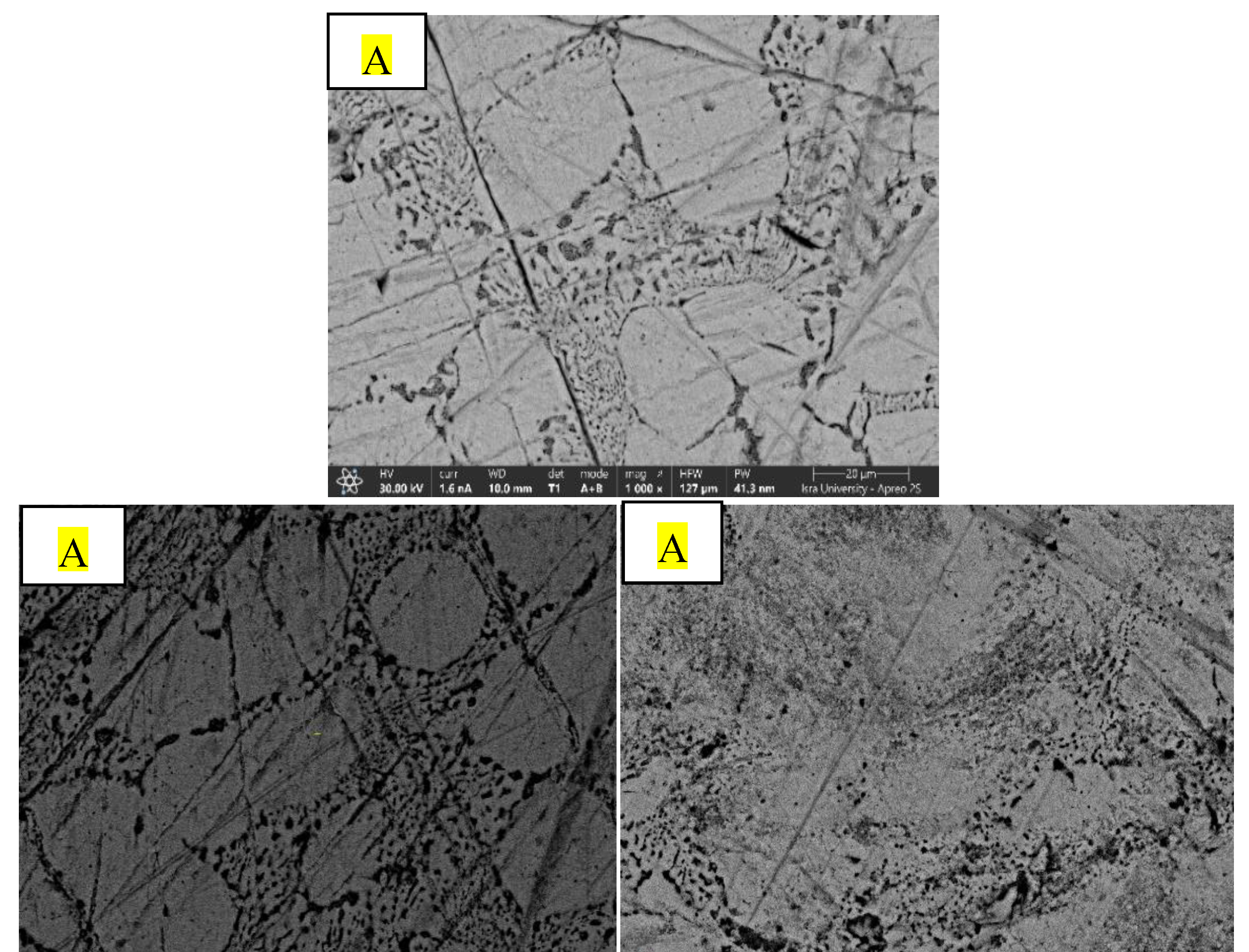 Preprints 218862 g014