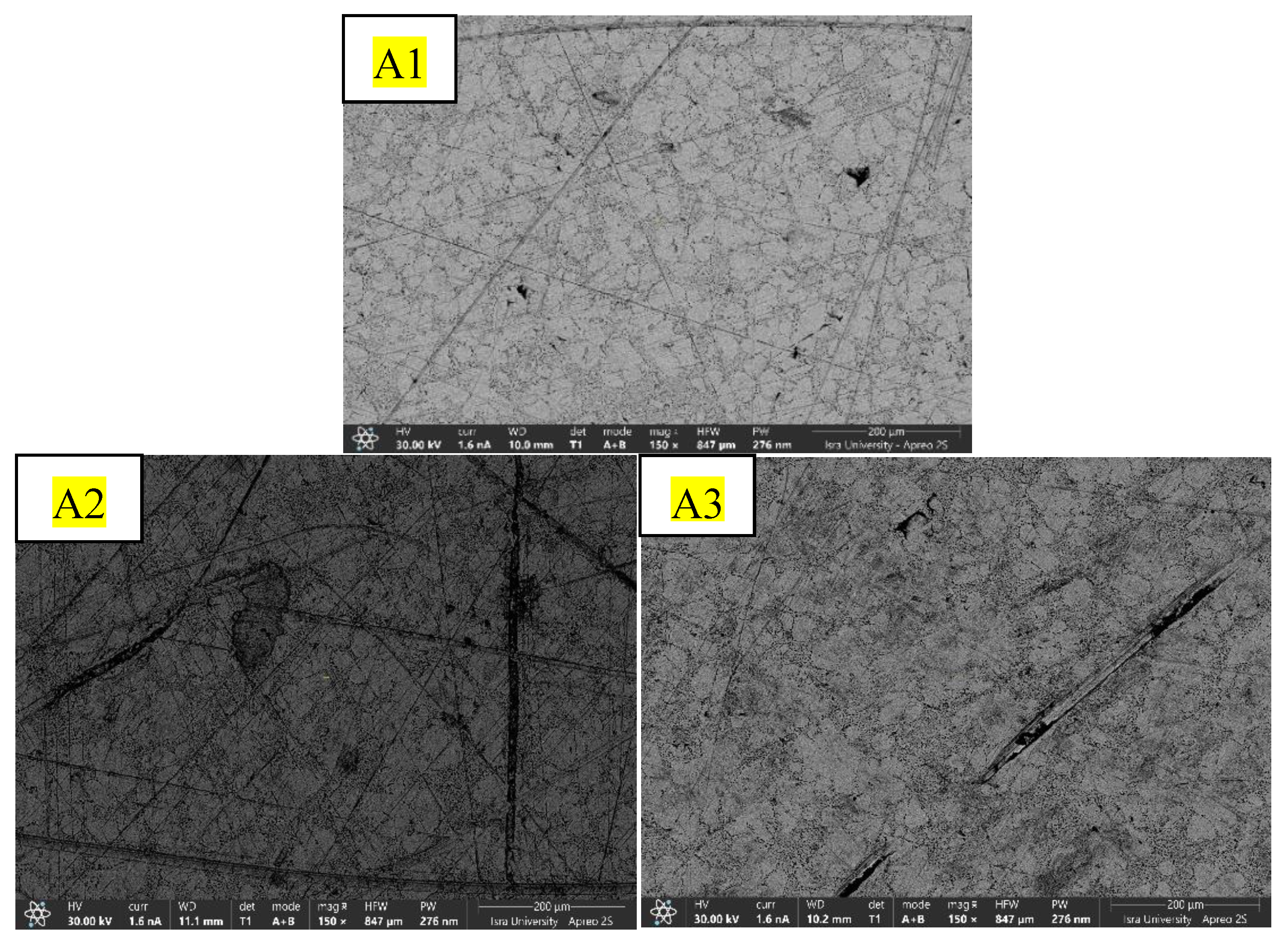 Preprints 218862 g015