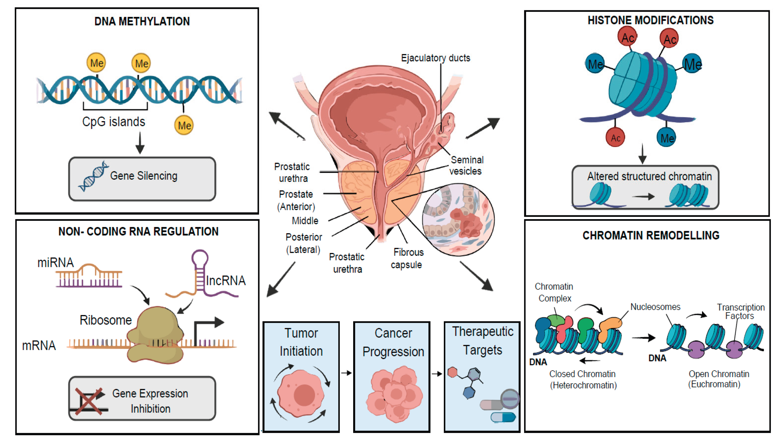 Preprints 231773 g001 Preprints 231773 g001