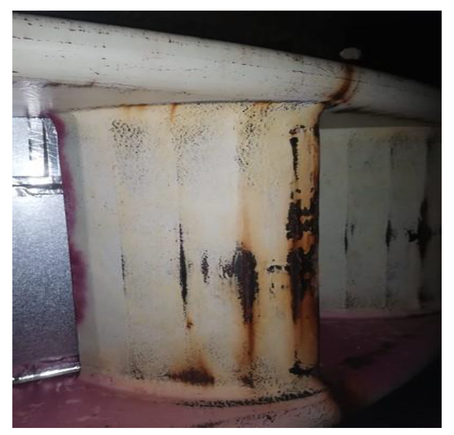 Preprints 188804 g001