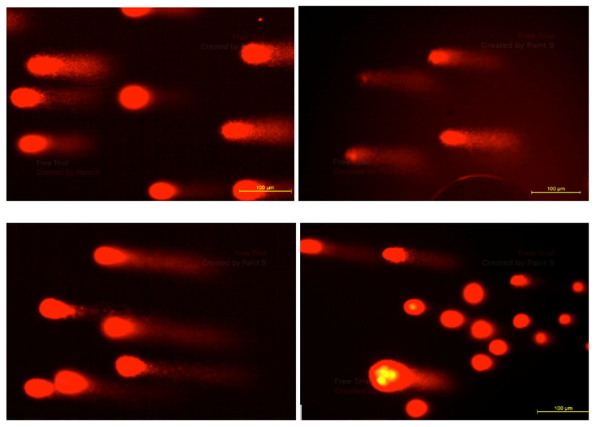 Preprints 210915 g002