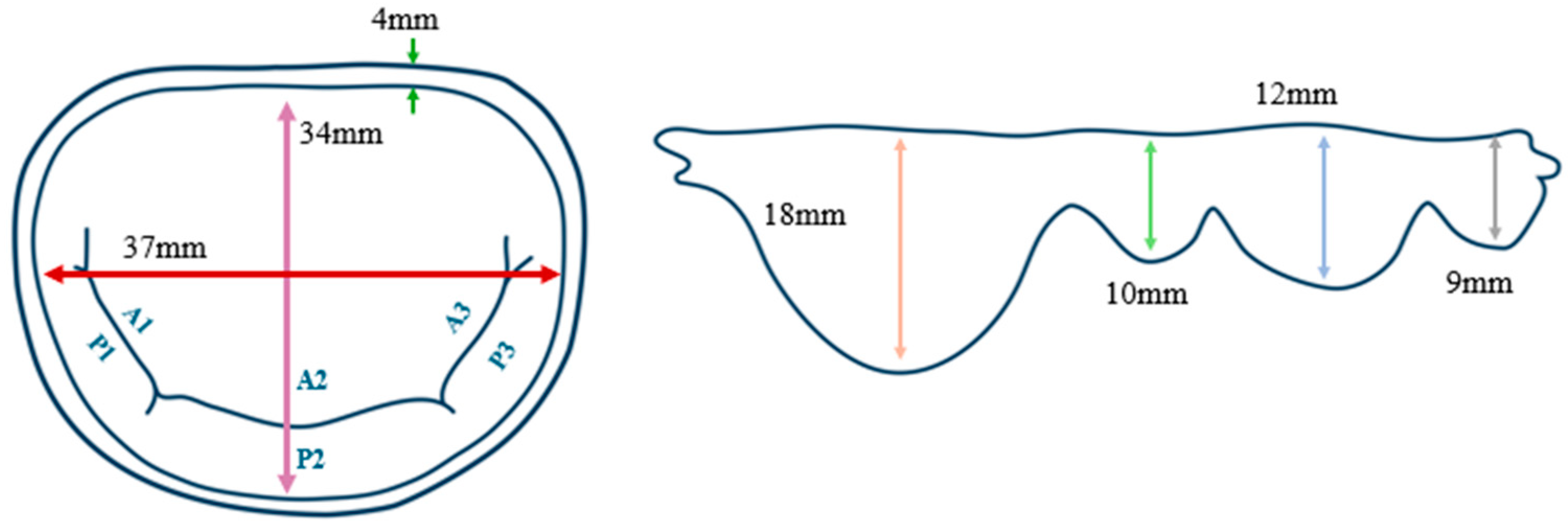 Preprints 150417 g002
