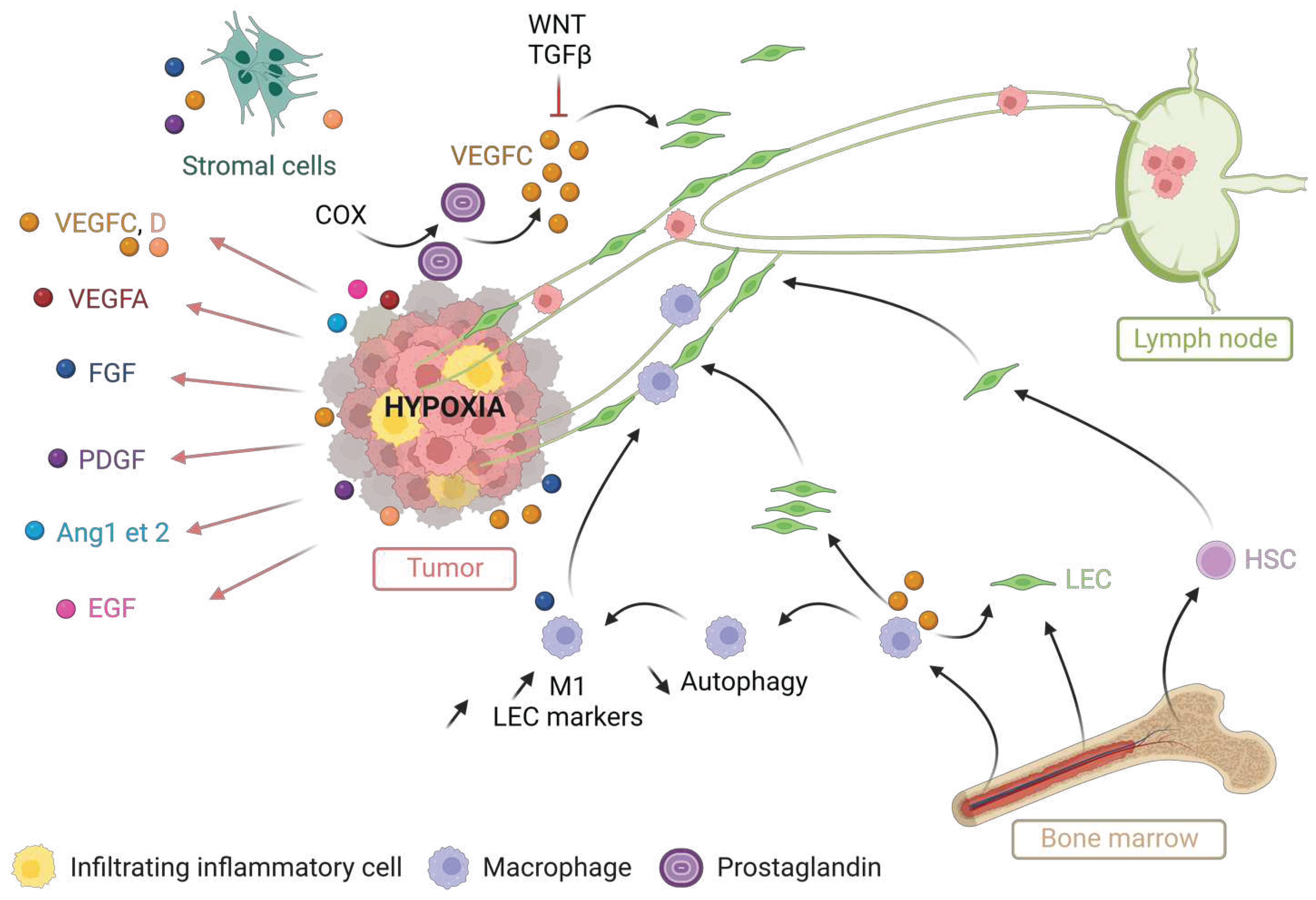 Preprints 77391 g002