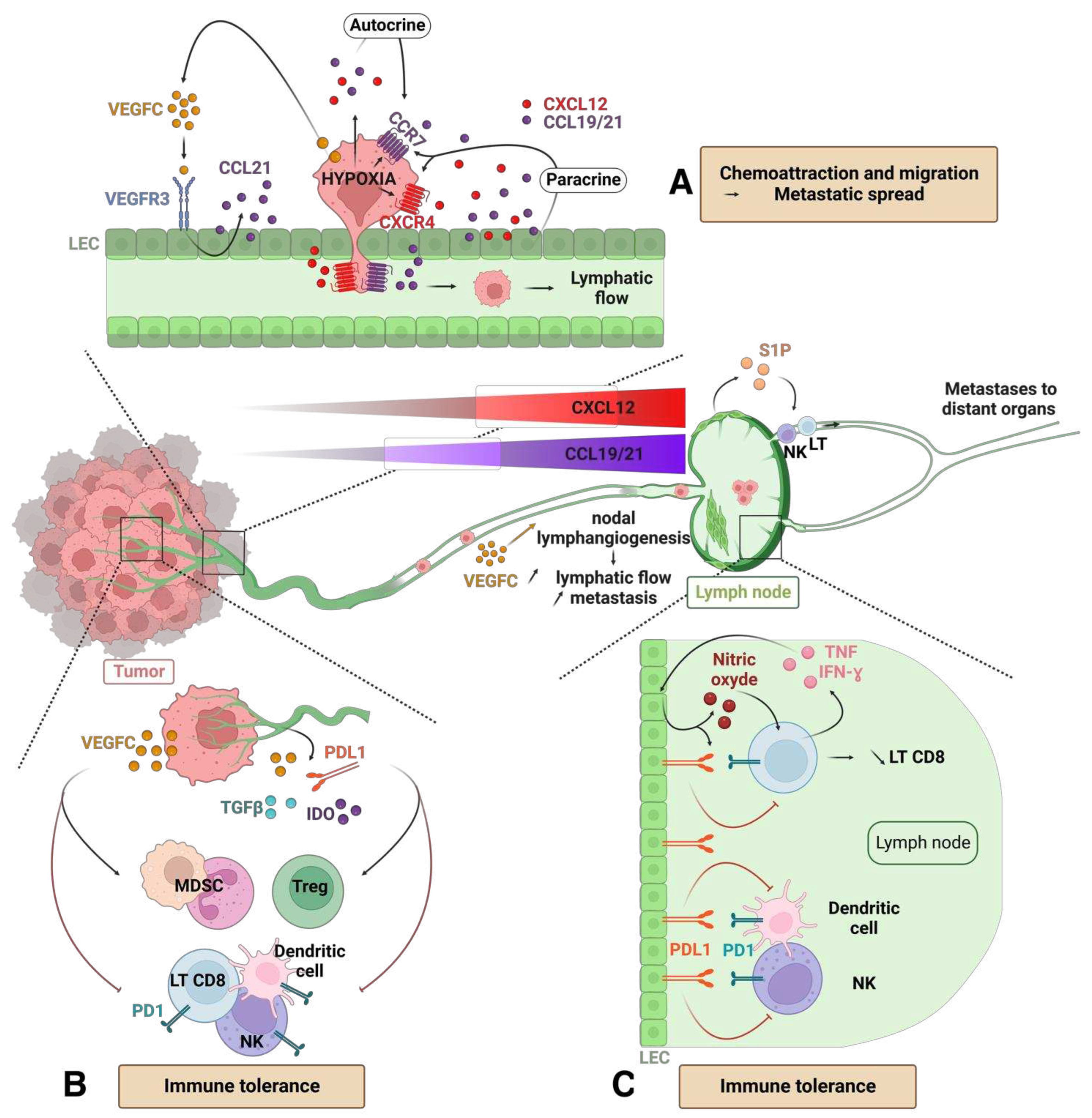 Preprints 77391 g003