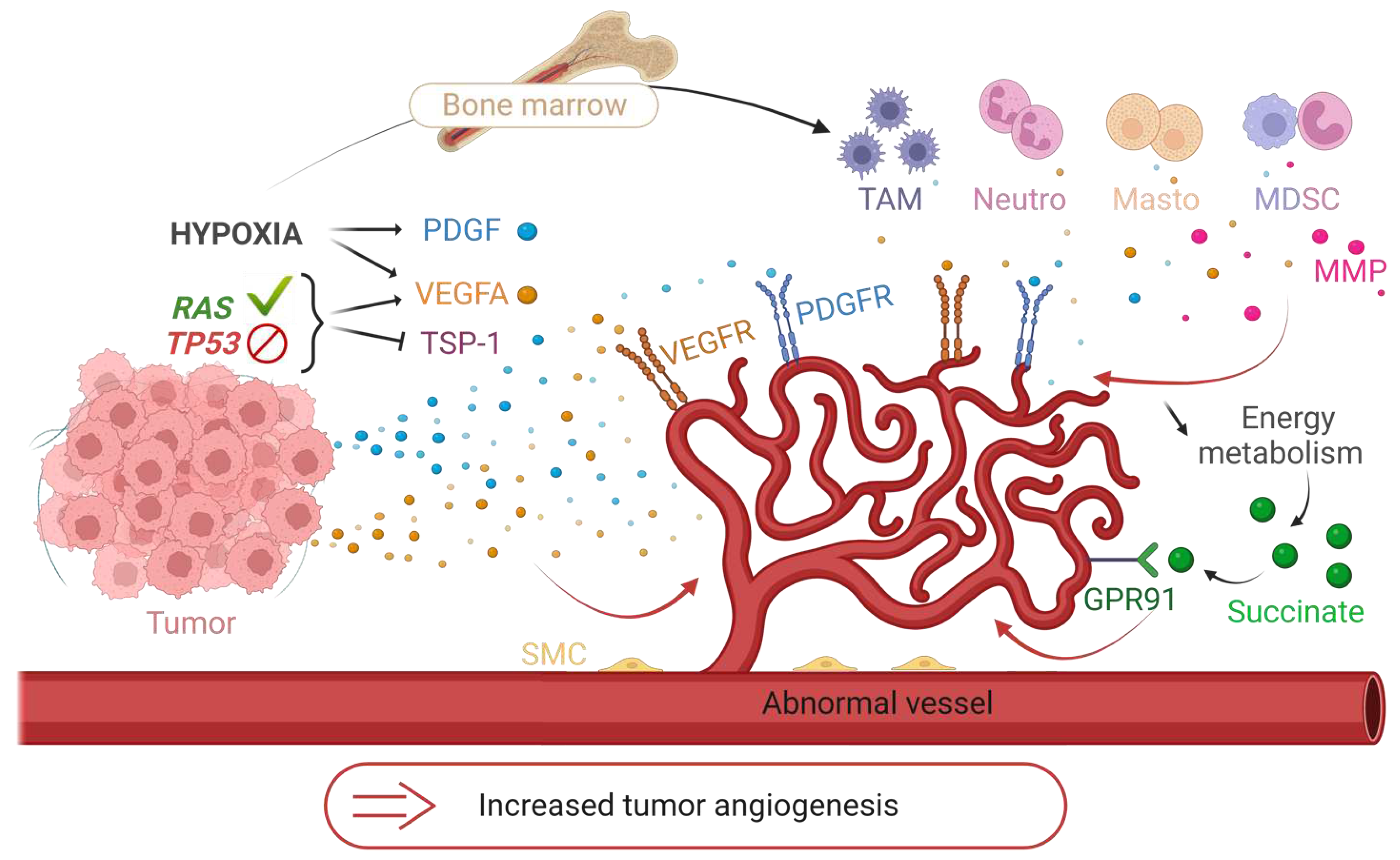 Preprints 77391 g007
