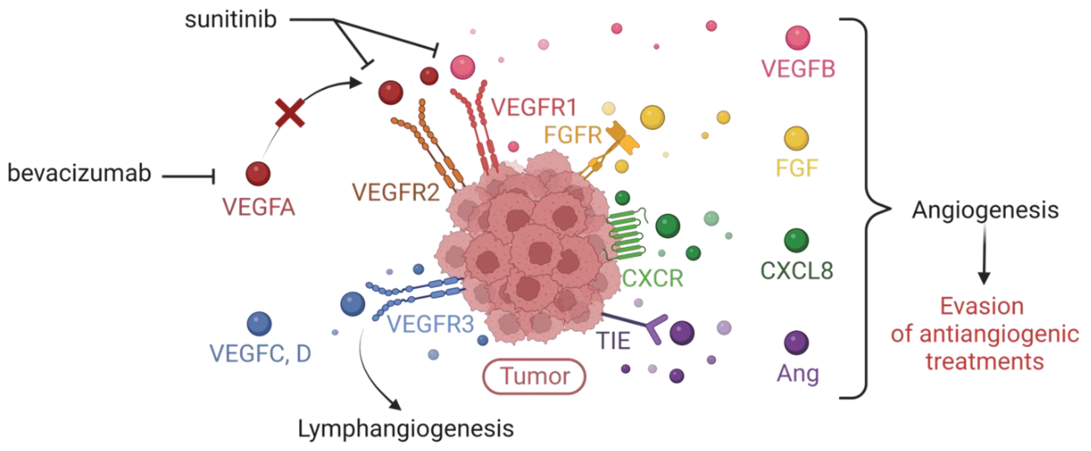 Preprints 77391 g008
