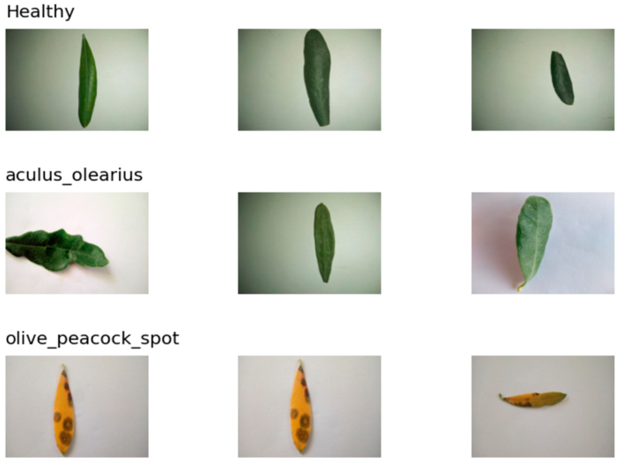 Preprints 166464 g003