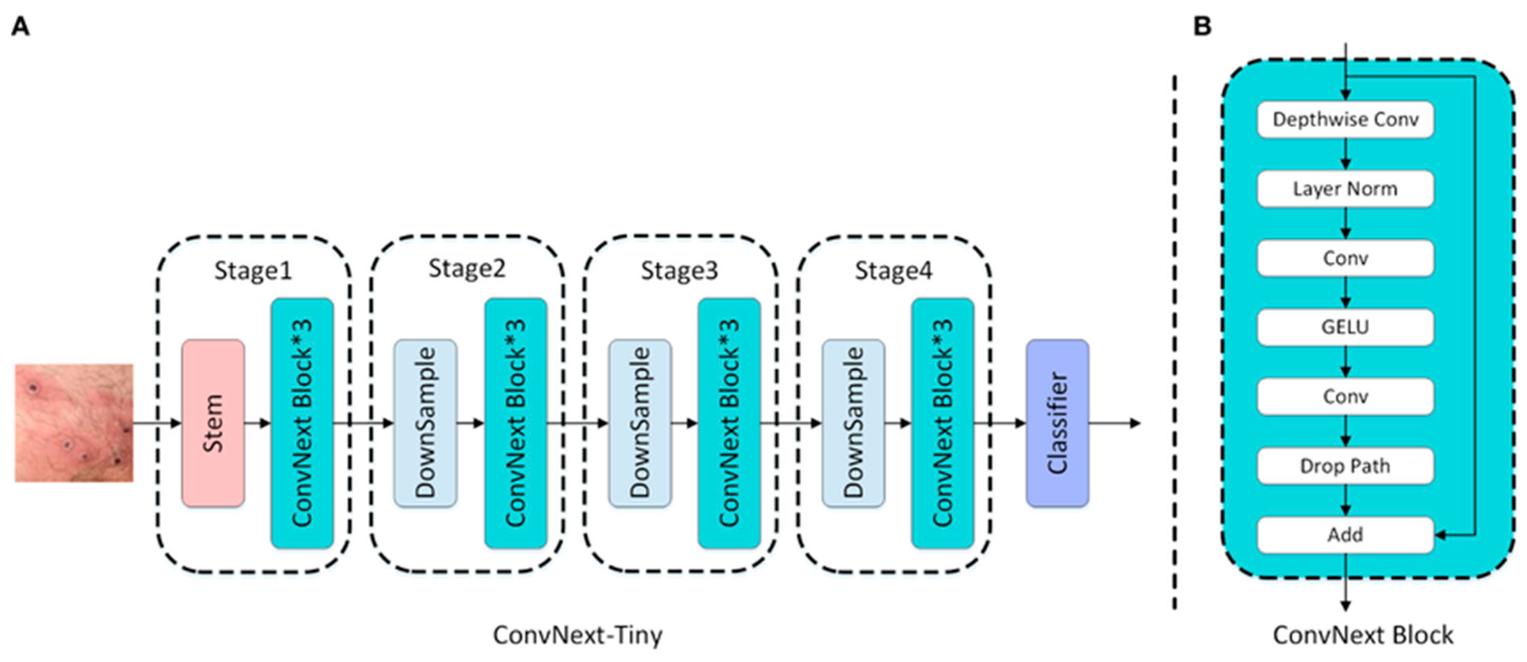 Preprints 166464 g007