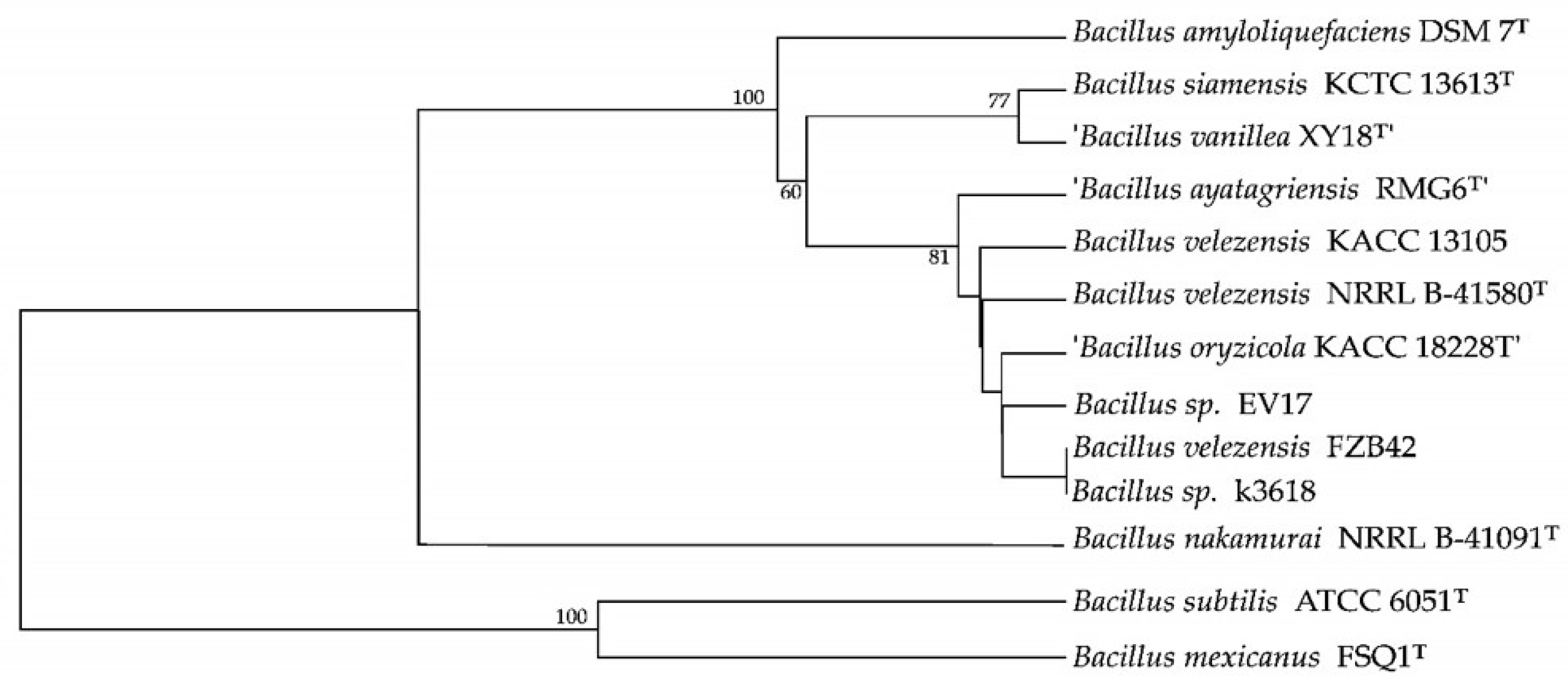 Preprints 177469 g001