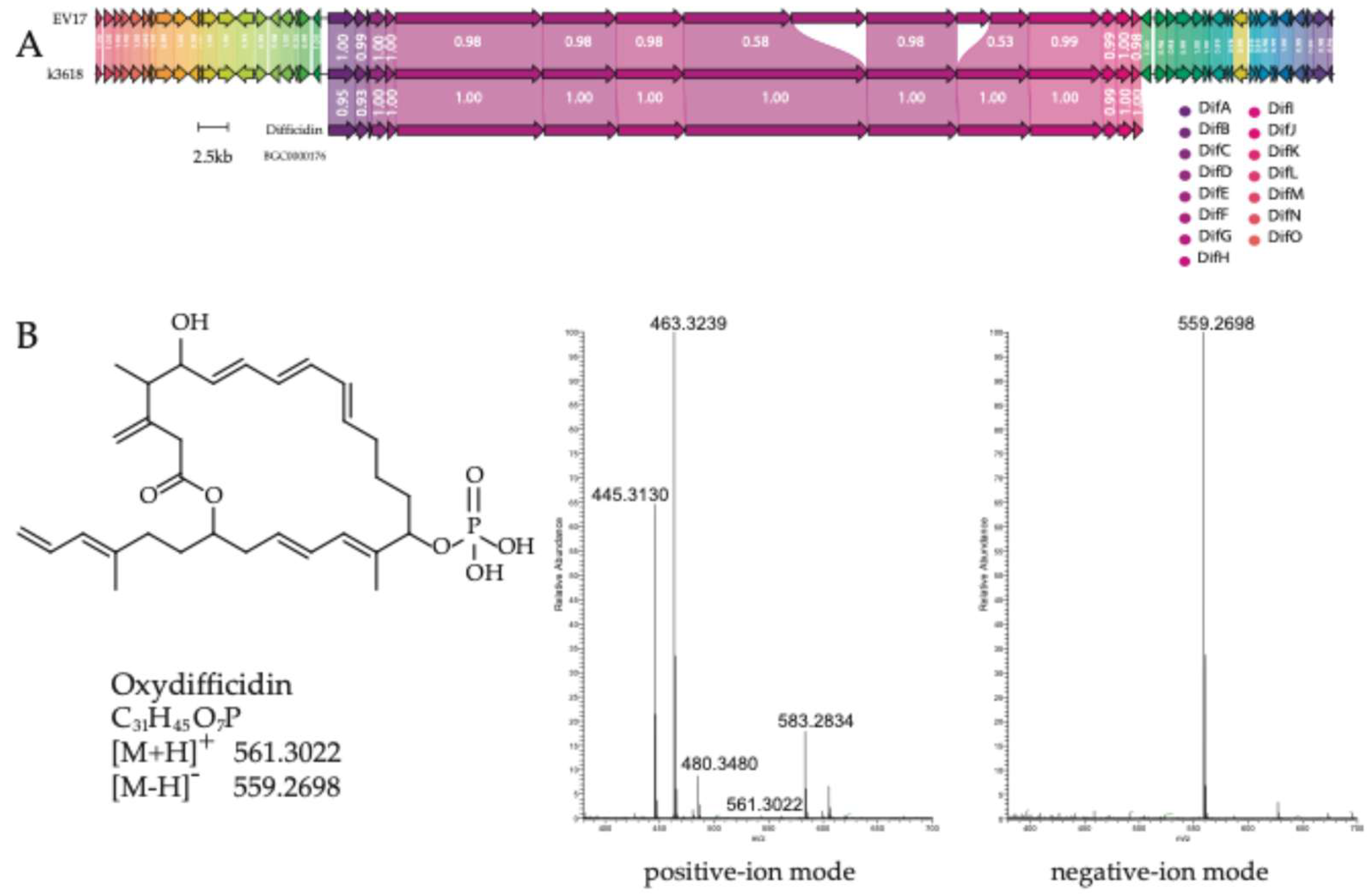 Preprints 177469 g002