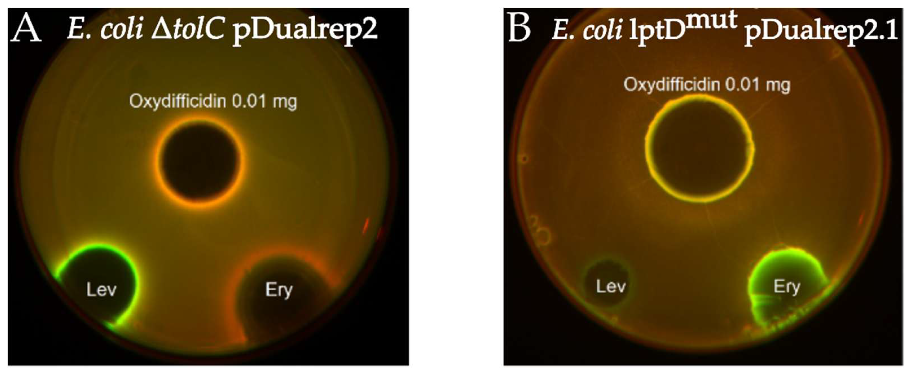 Preprints 177469 g003