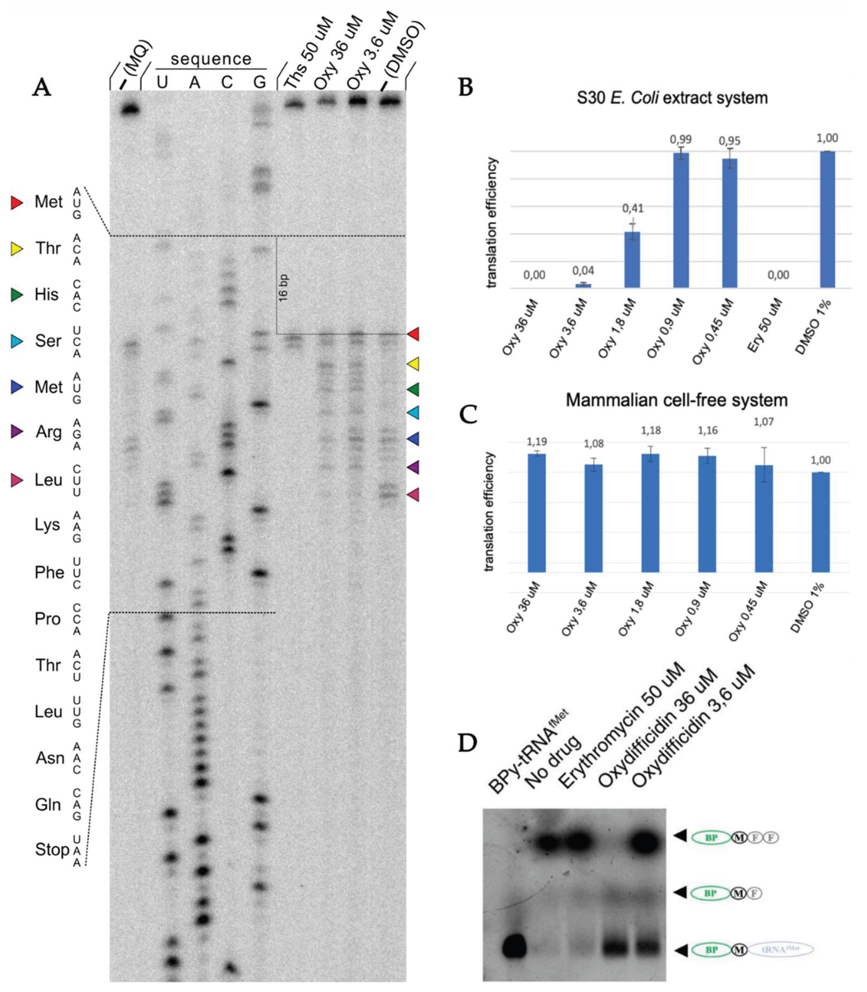 Preprints 177469 g004