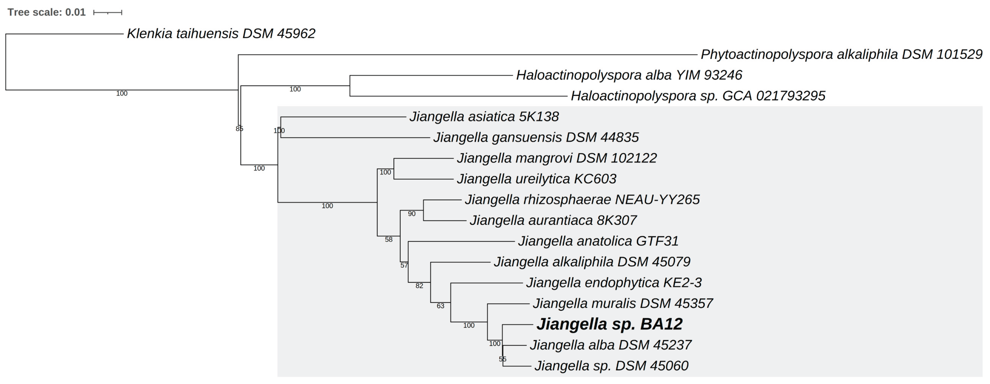 Preprints 227175 g003 Preprints 227175 g003