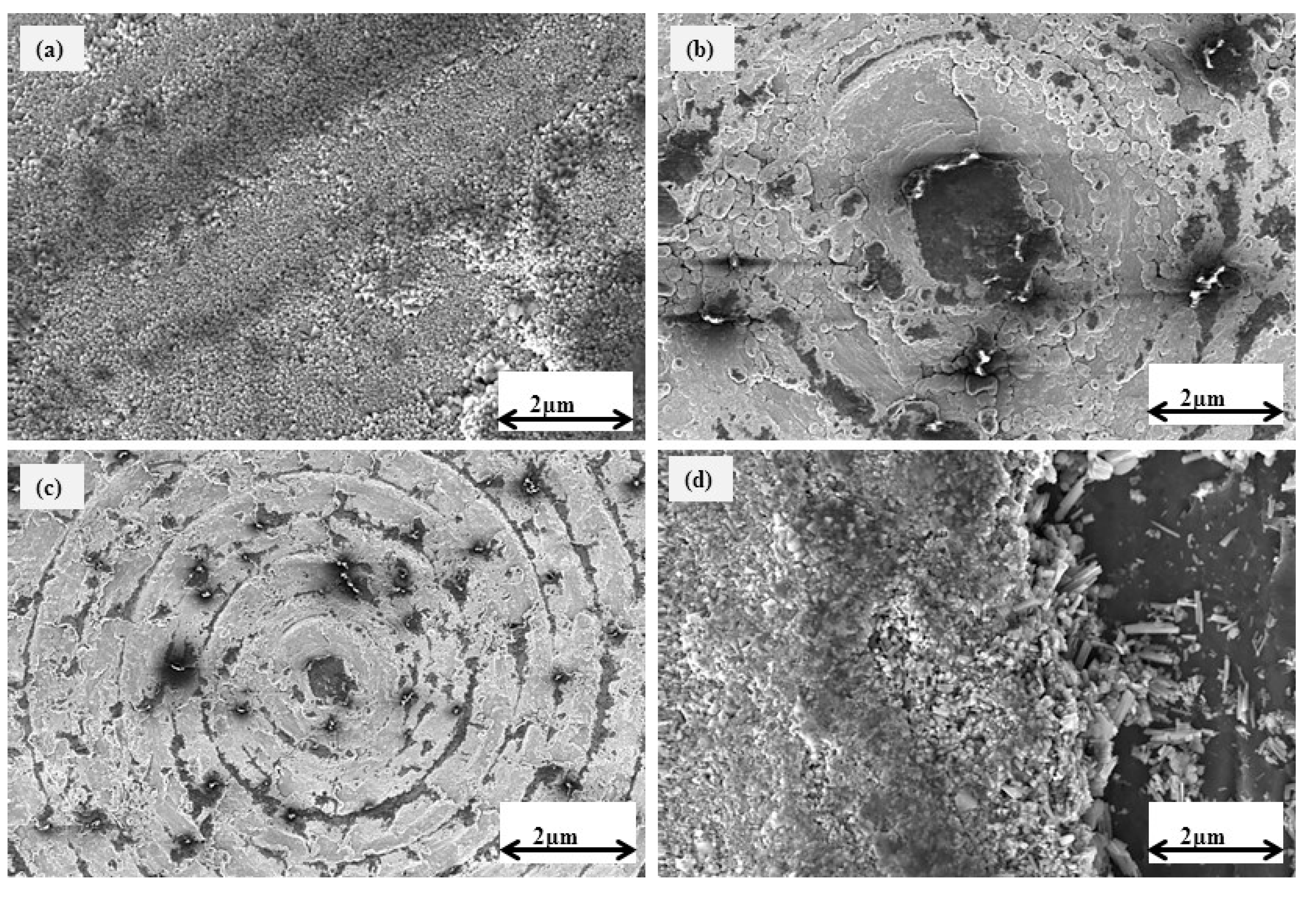 Preprints 83807 g007