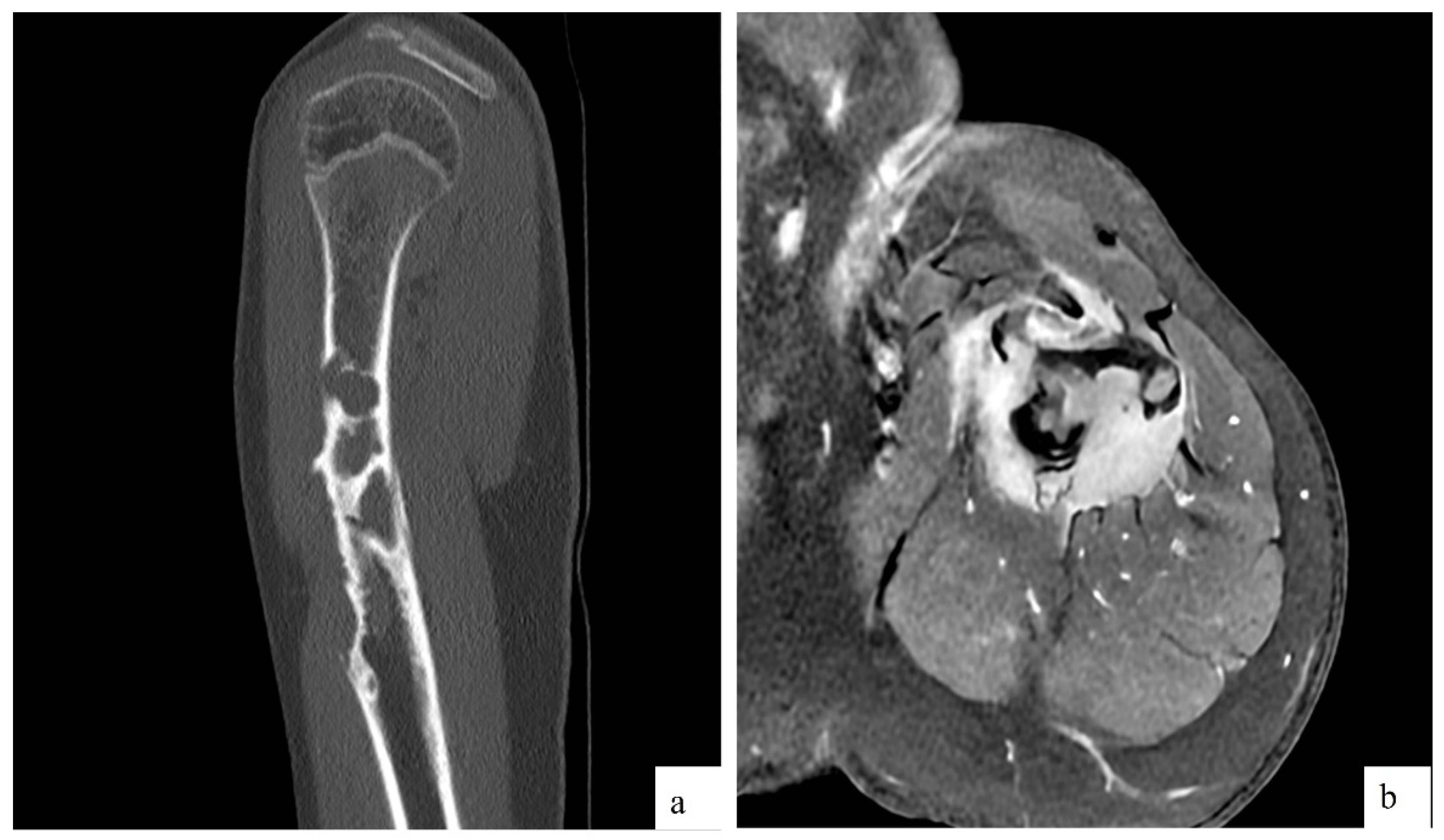 Preprints 142943 g001
