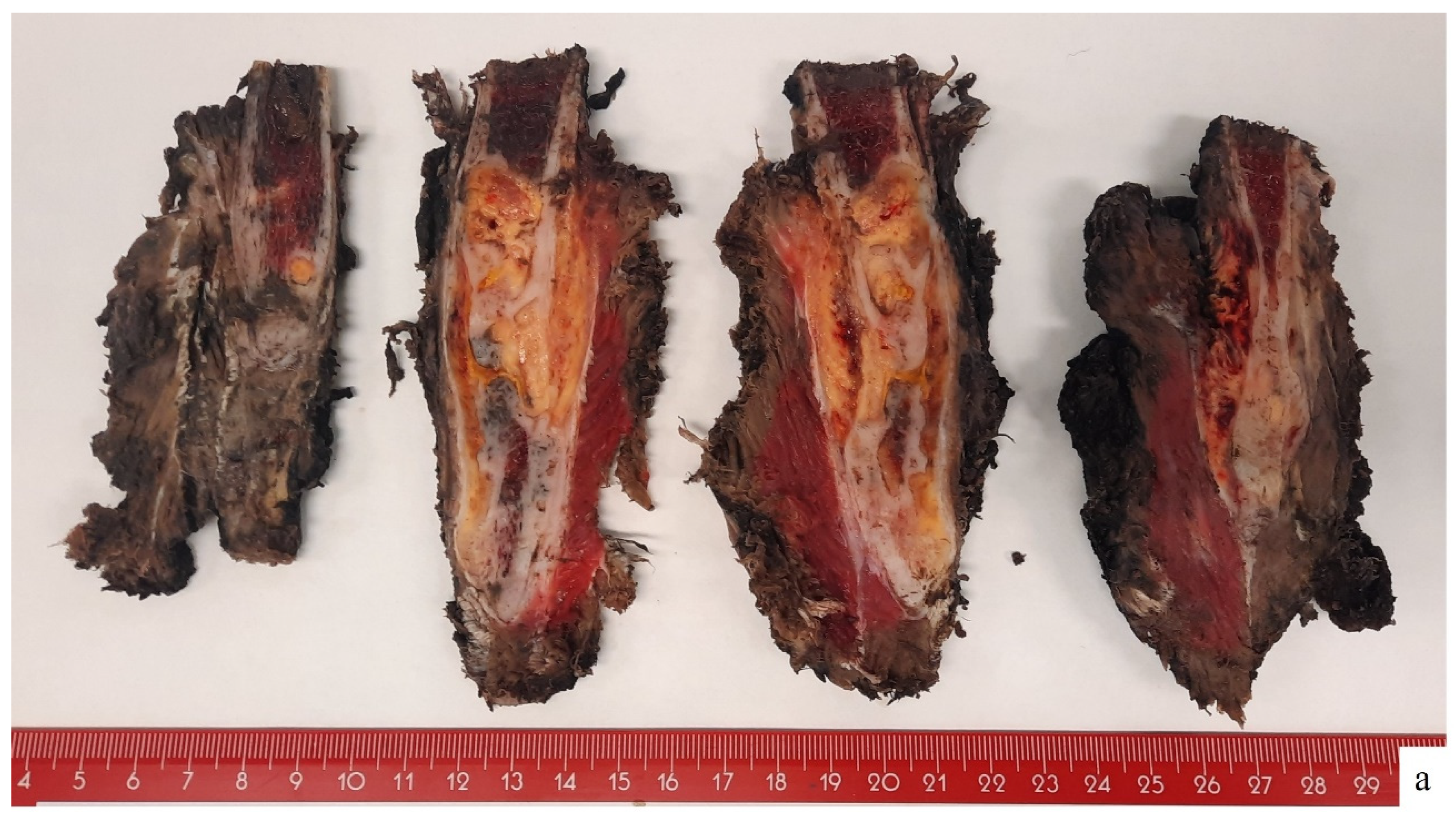 Preprints 142943 g002