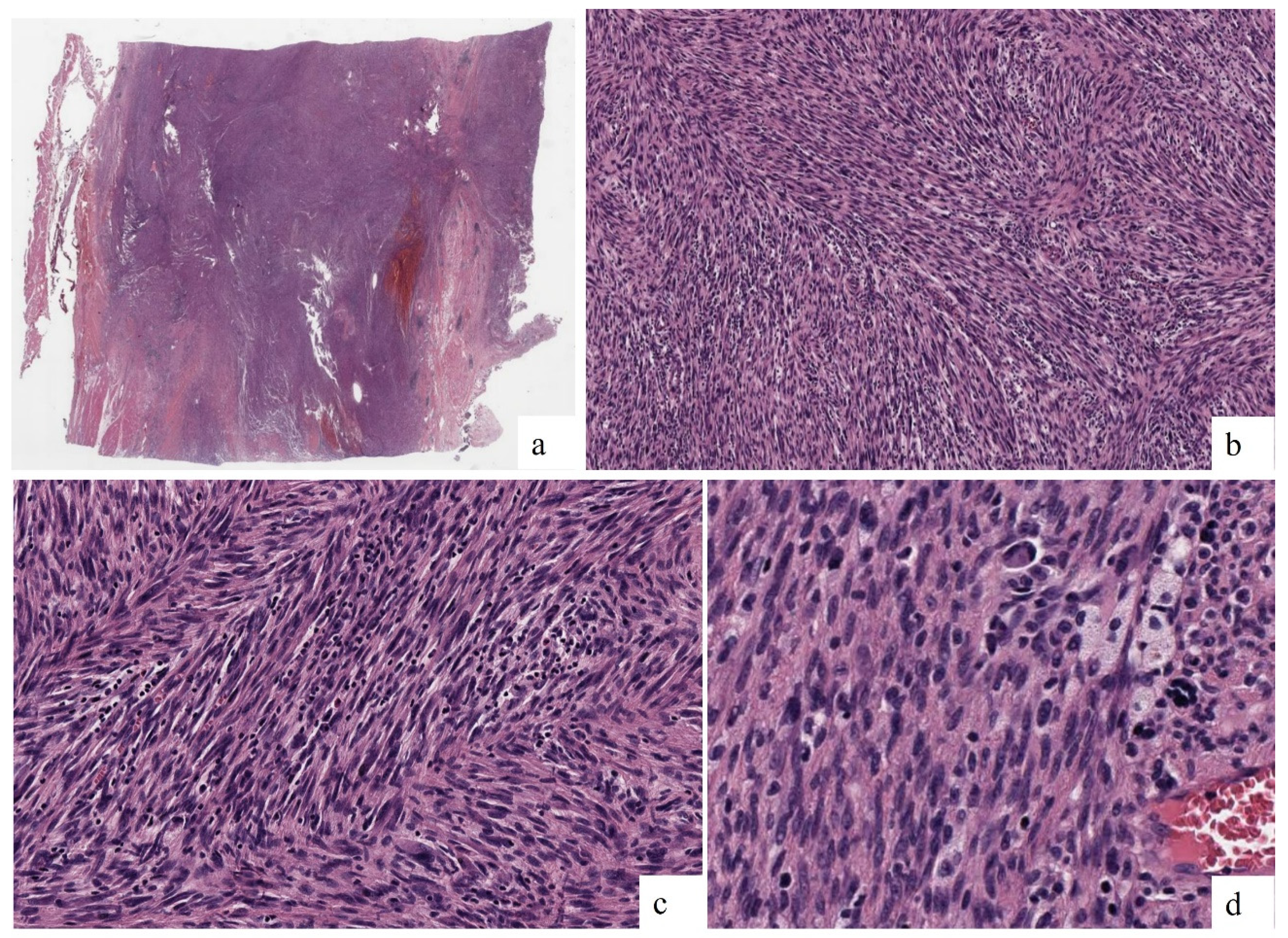 Preprints 142943 g003