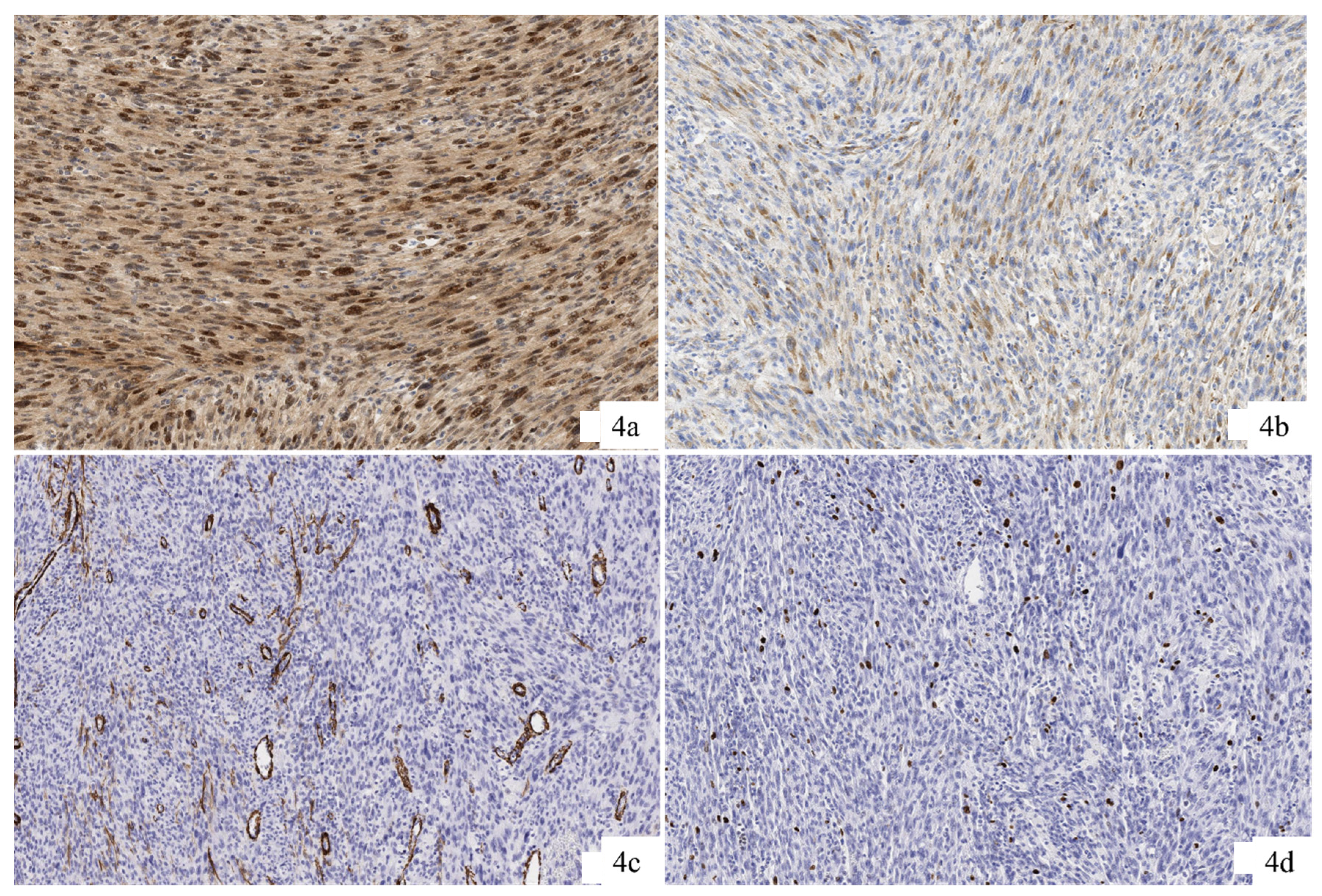 Preprints 142943 g004