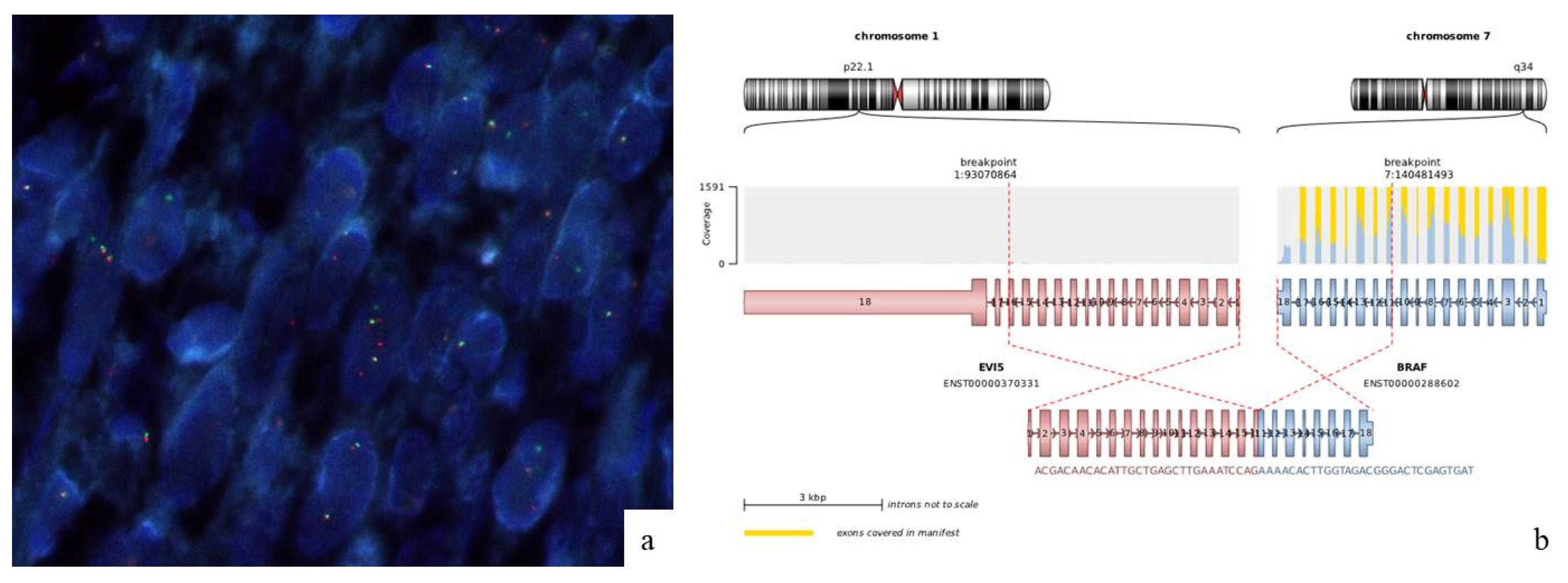 Preprints 142943 g005