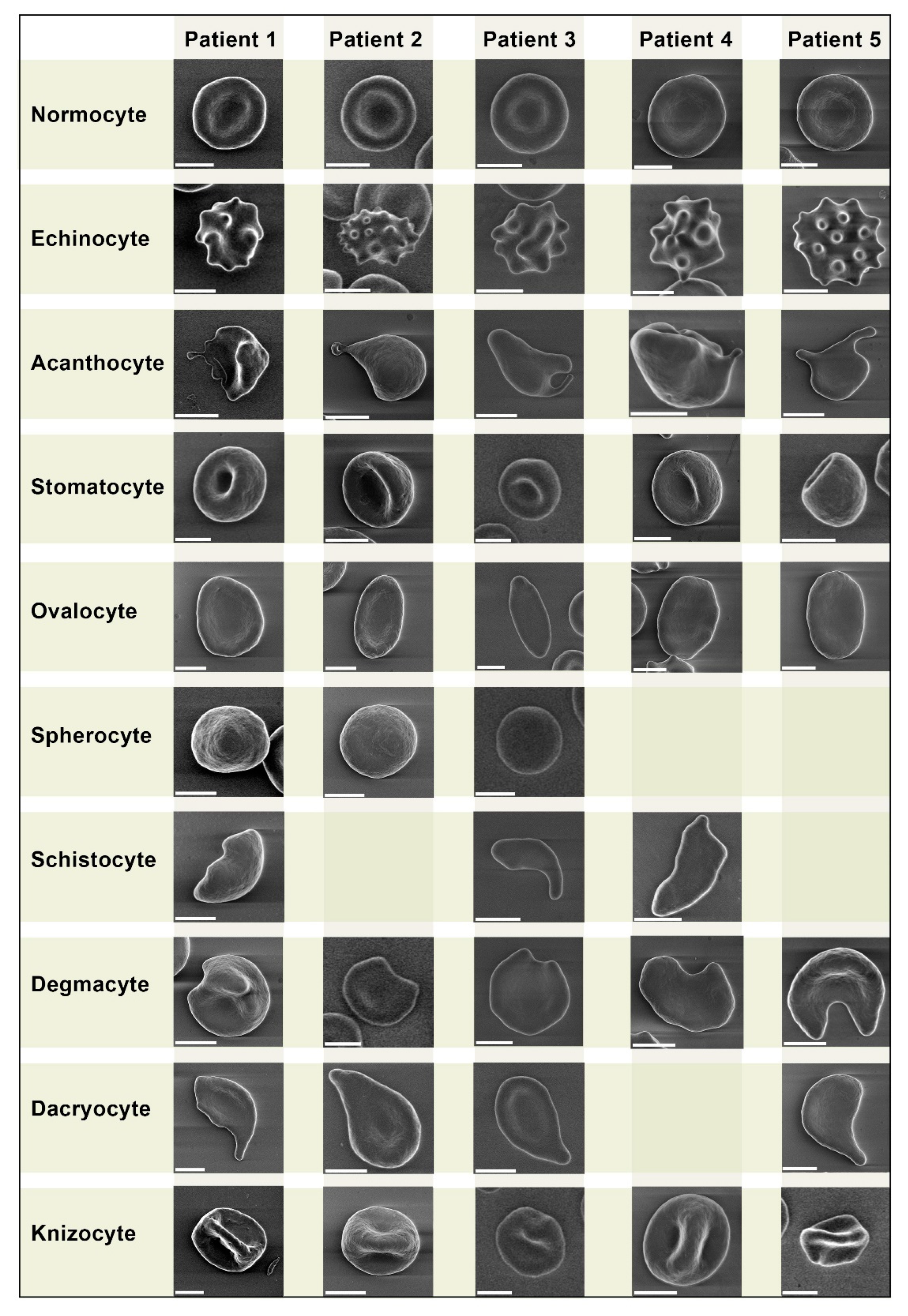 Preprints 86862 g002