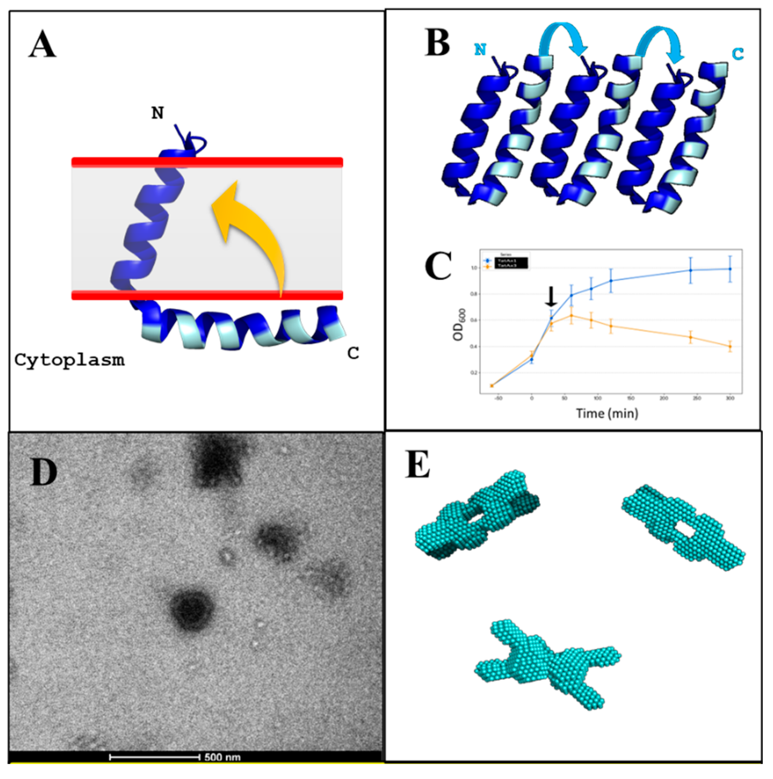 Preprints 196034 g003