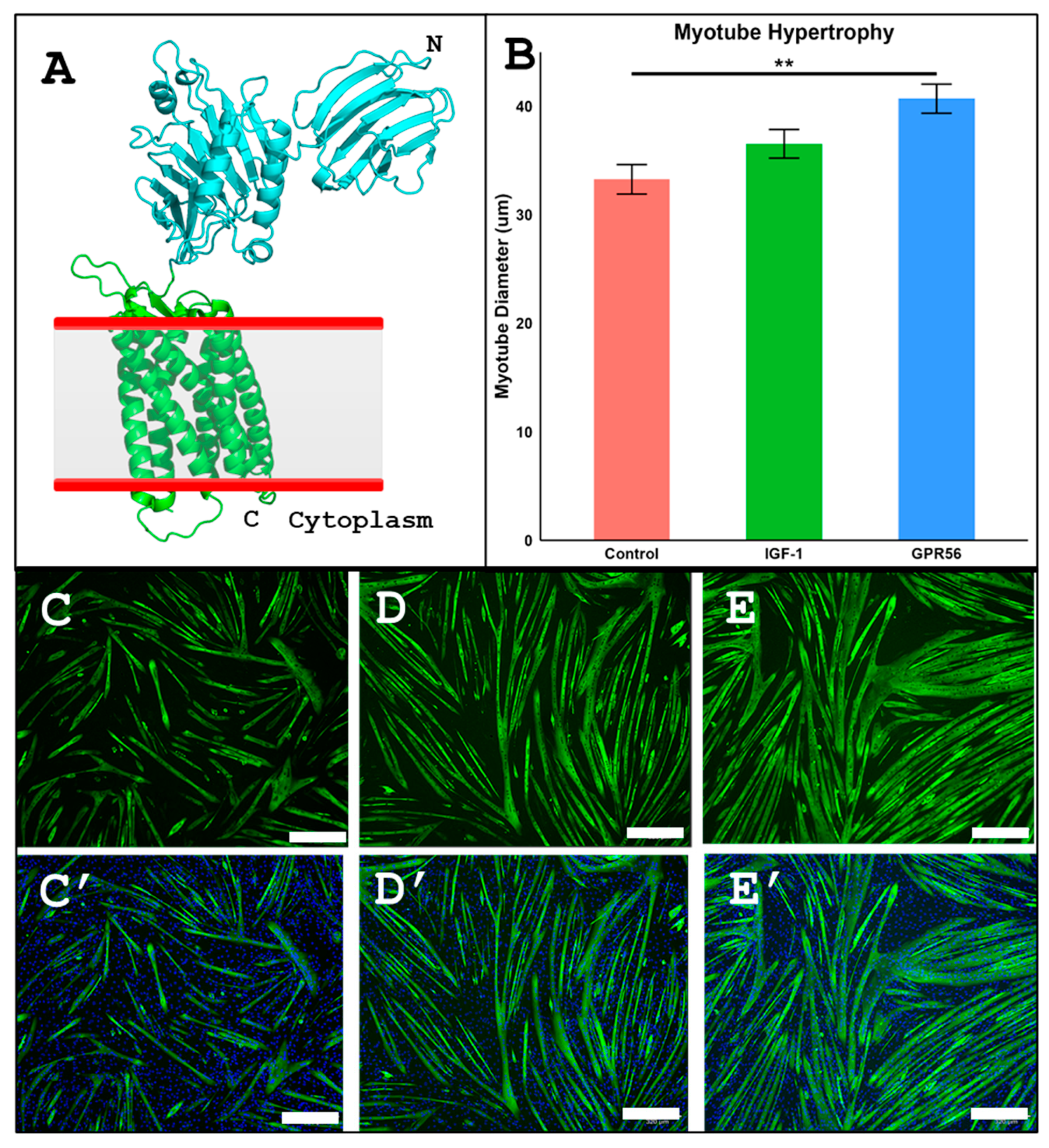 Preprints 196034 g006
