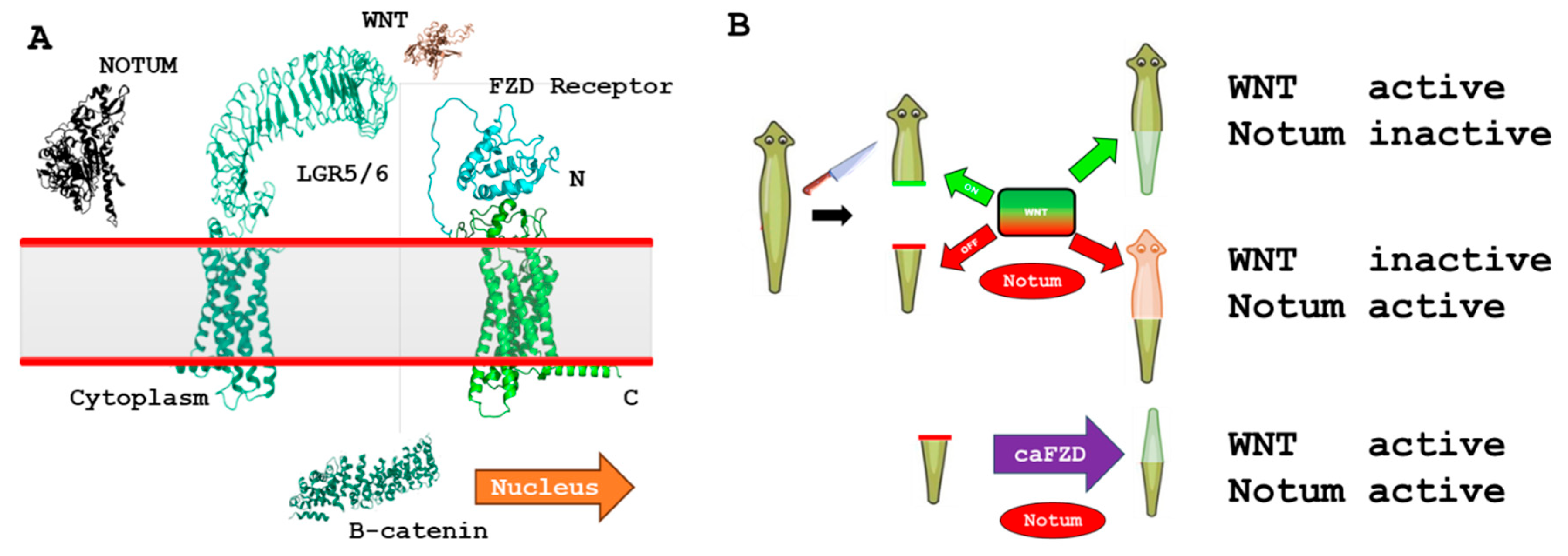 Preprints 196034 g007