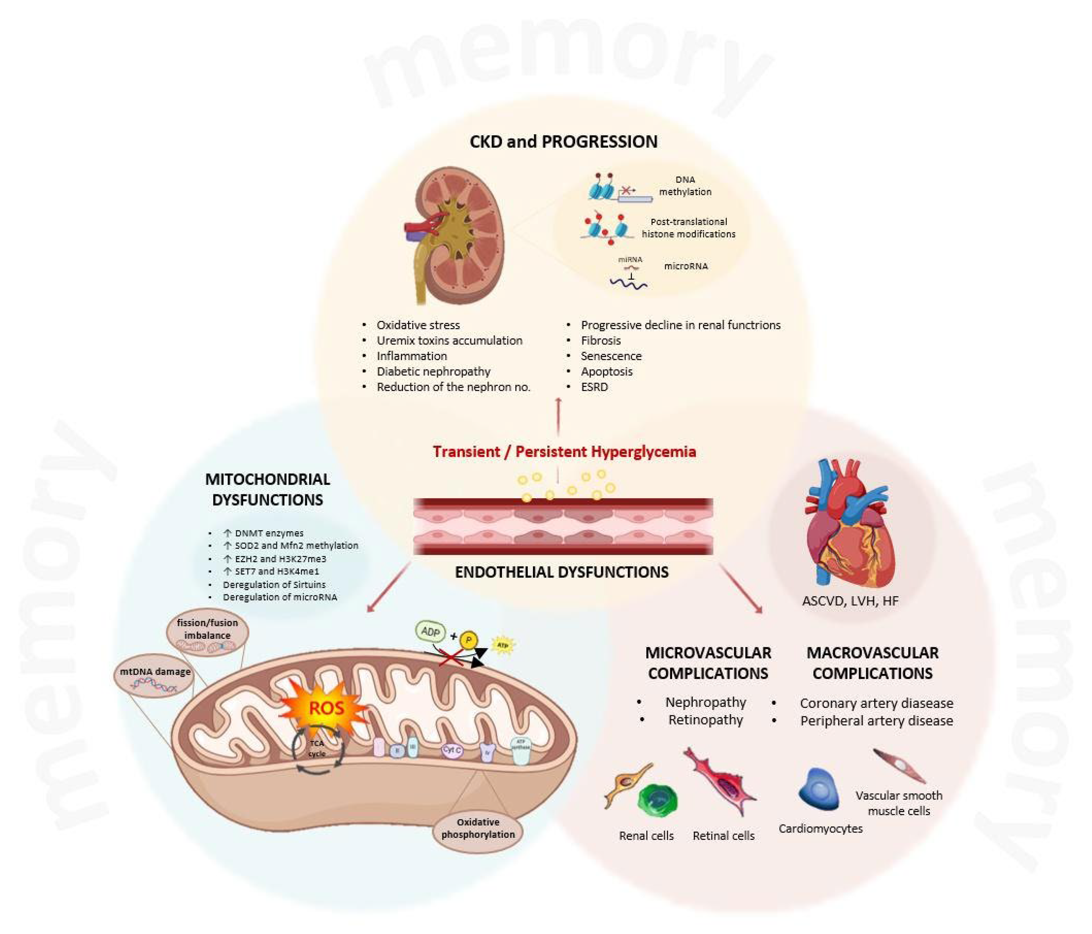 Preprints 182055 g003
