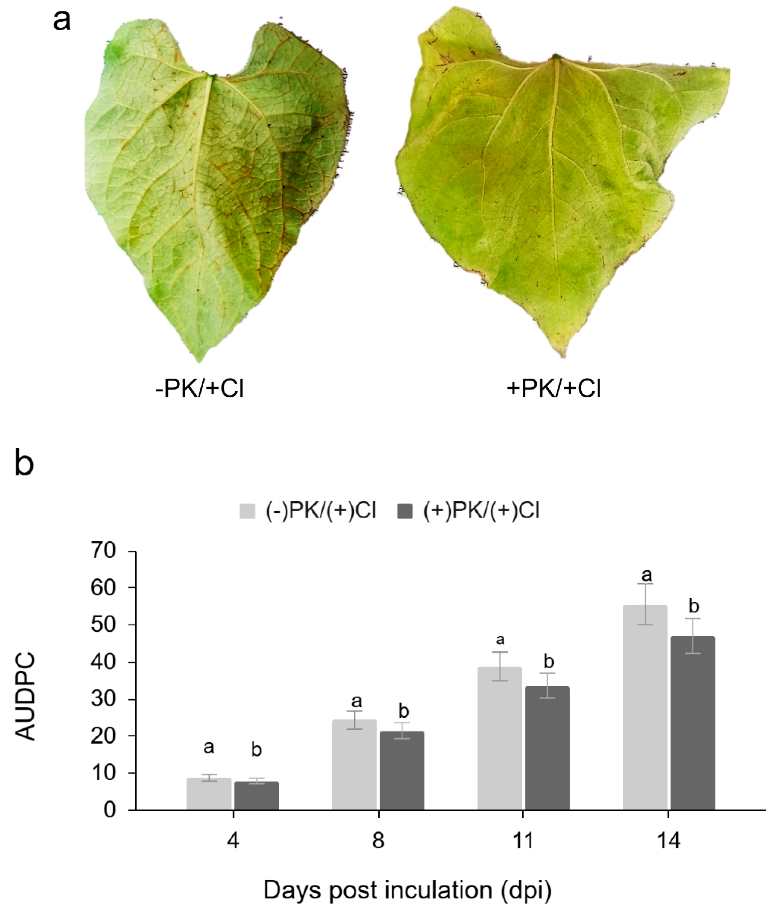 Preprints 148822 g003
