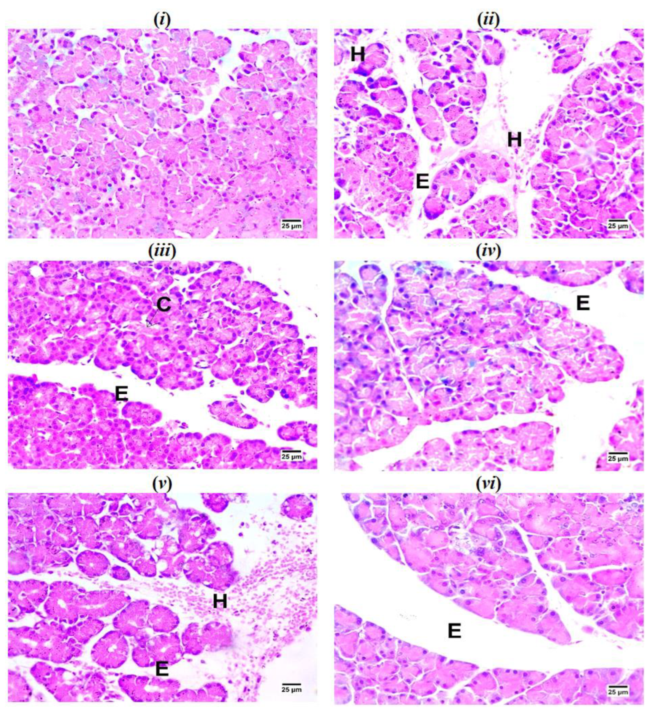 Preprints 143878 g004