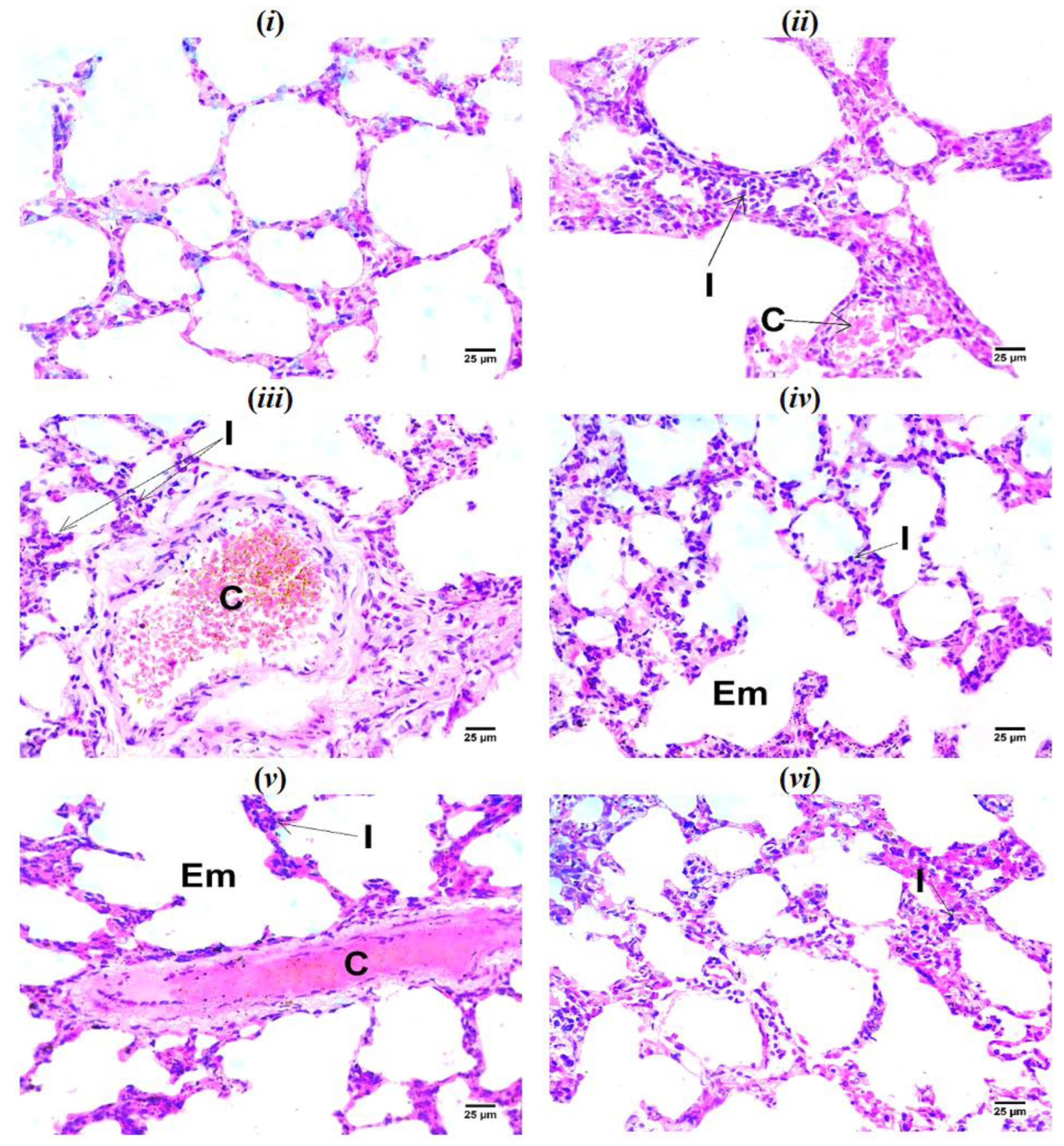Preprints 143878 g005