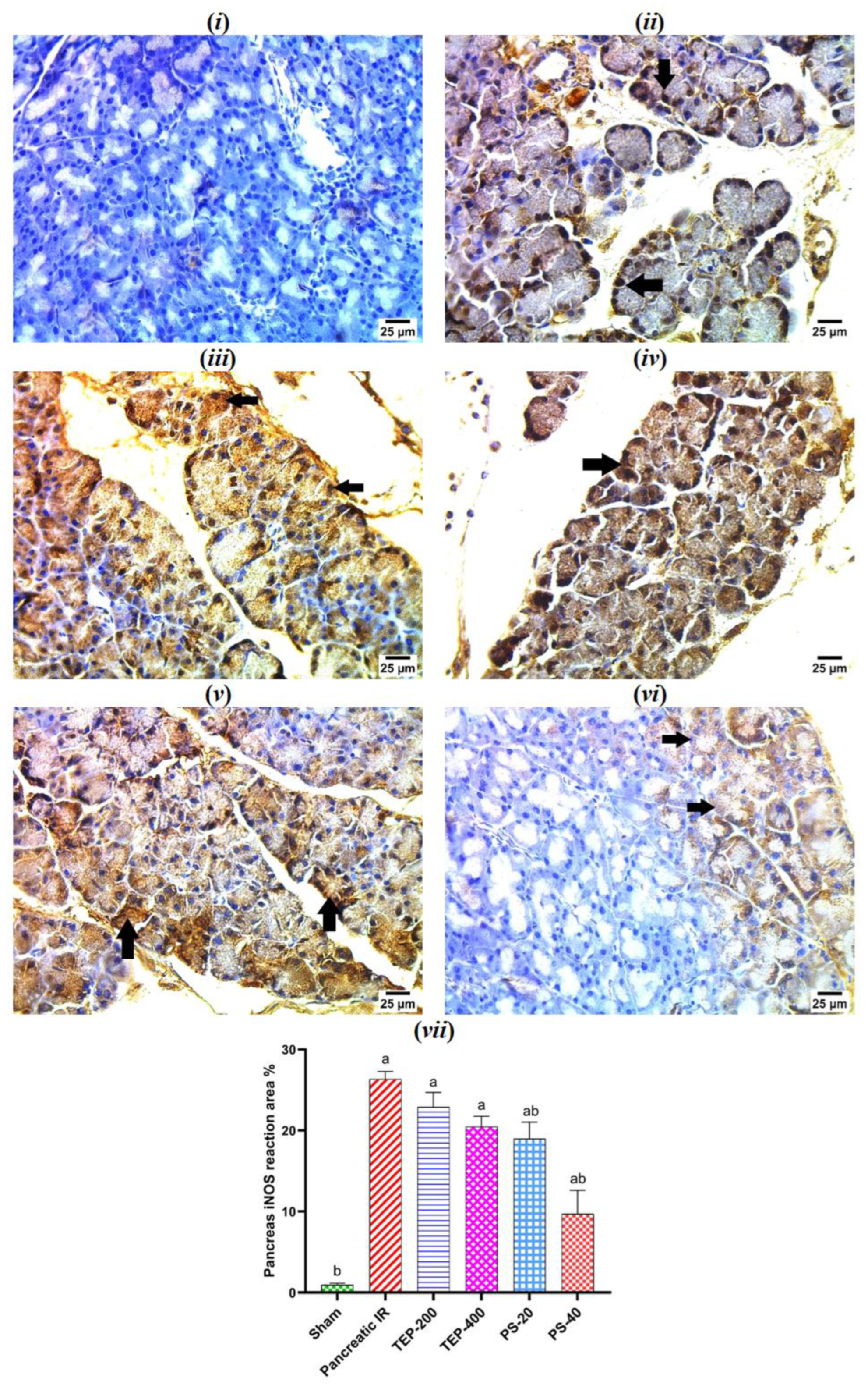Preprints 143878 g006