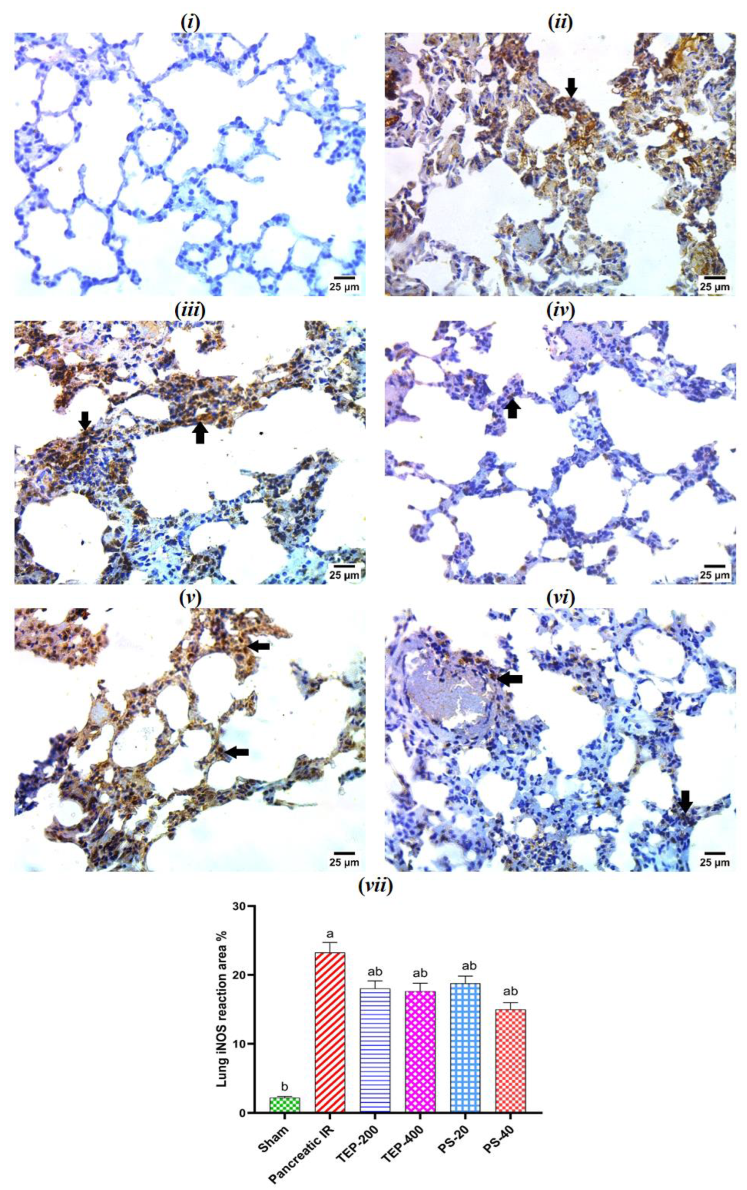 Preprints 143878 g007