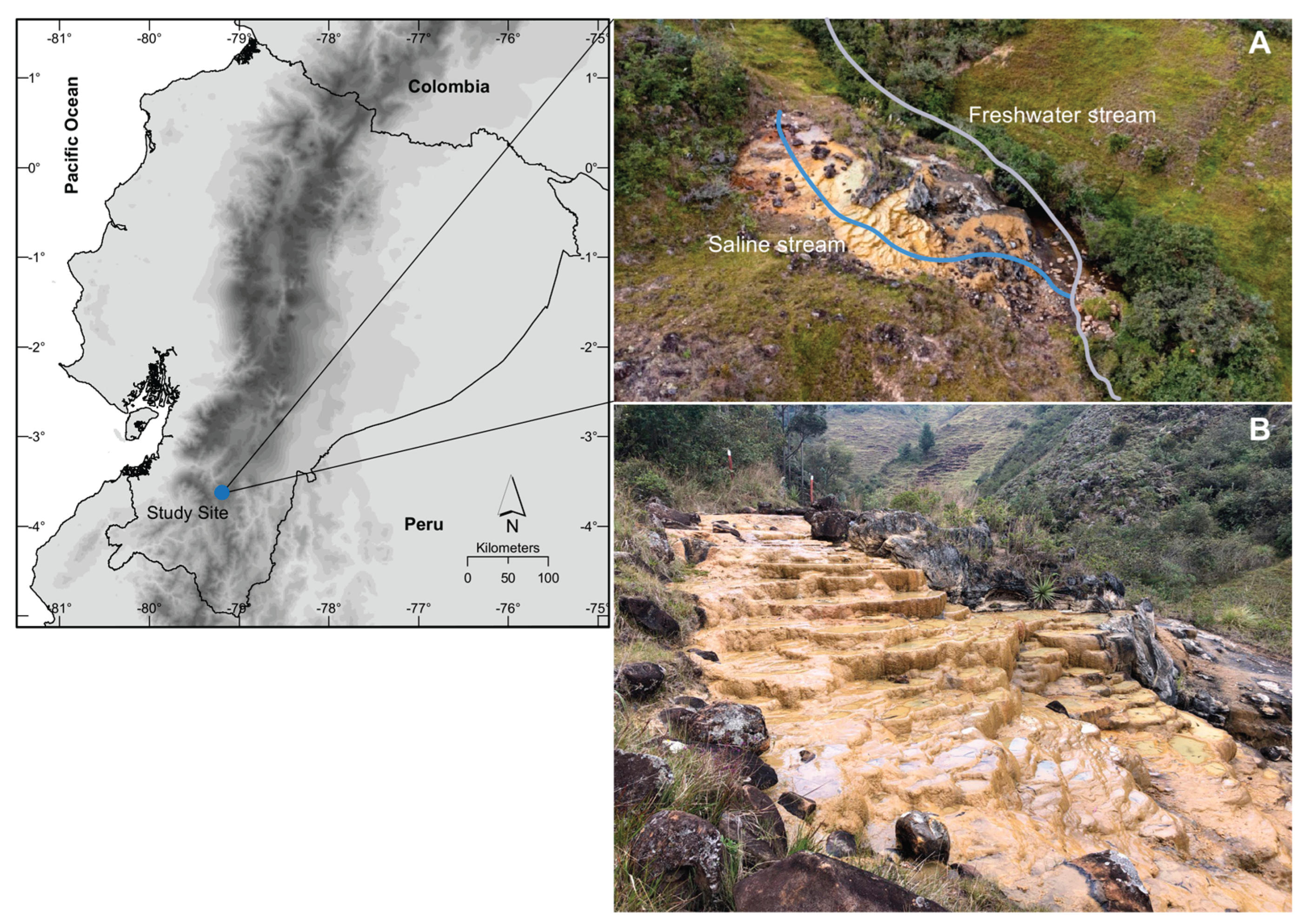 Preprints 210053 g001