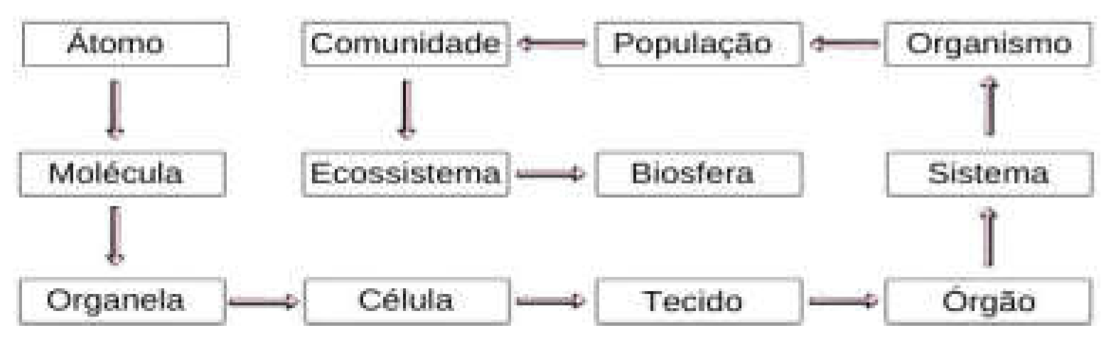 Preprints 151914 g005