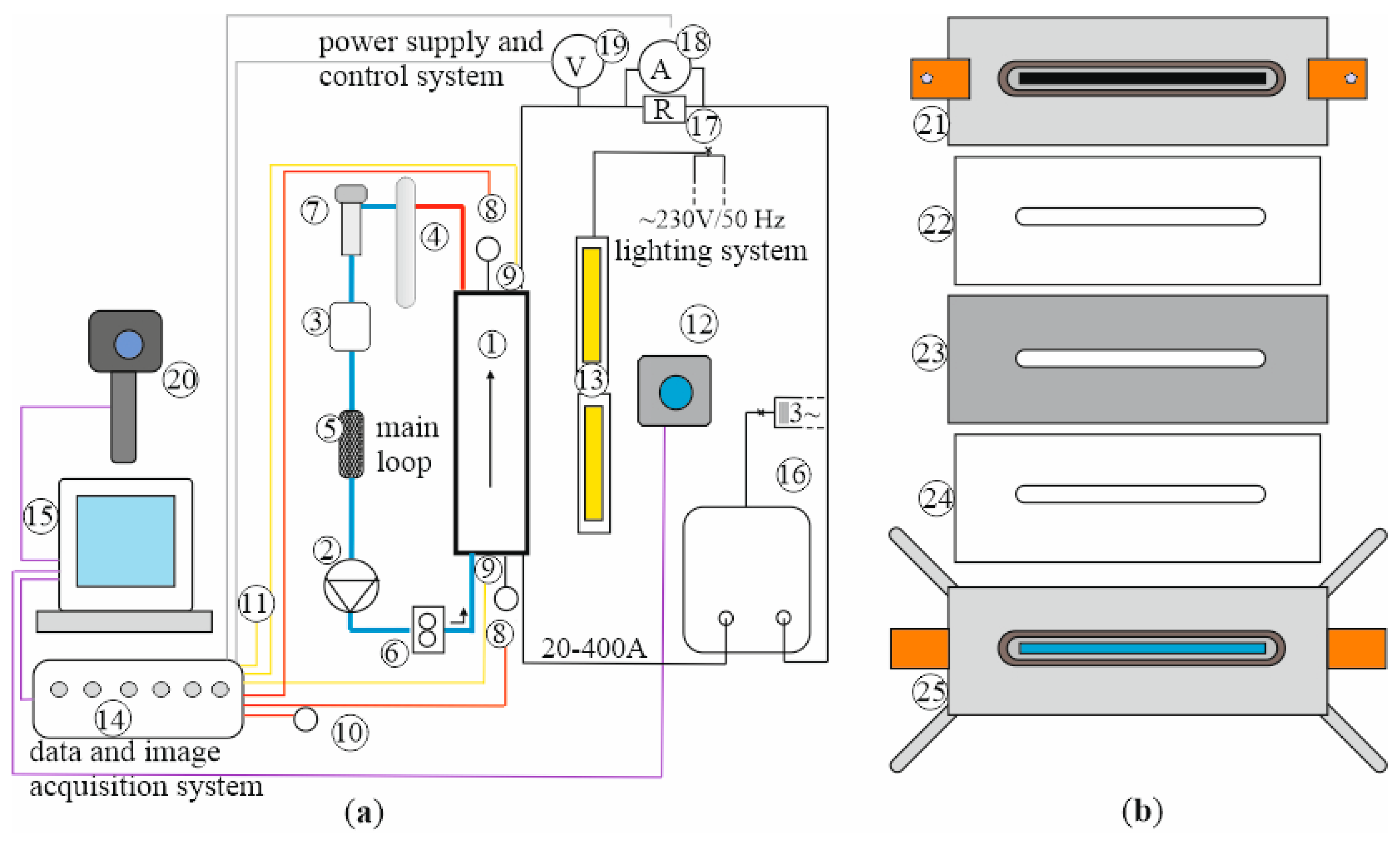 Preprints 140812 g005