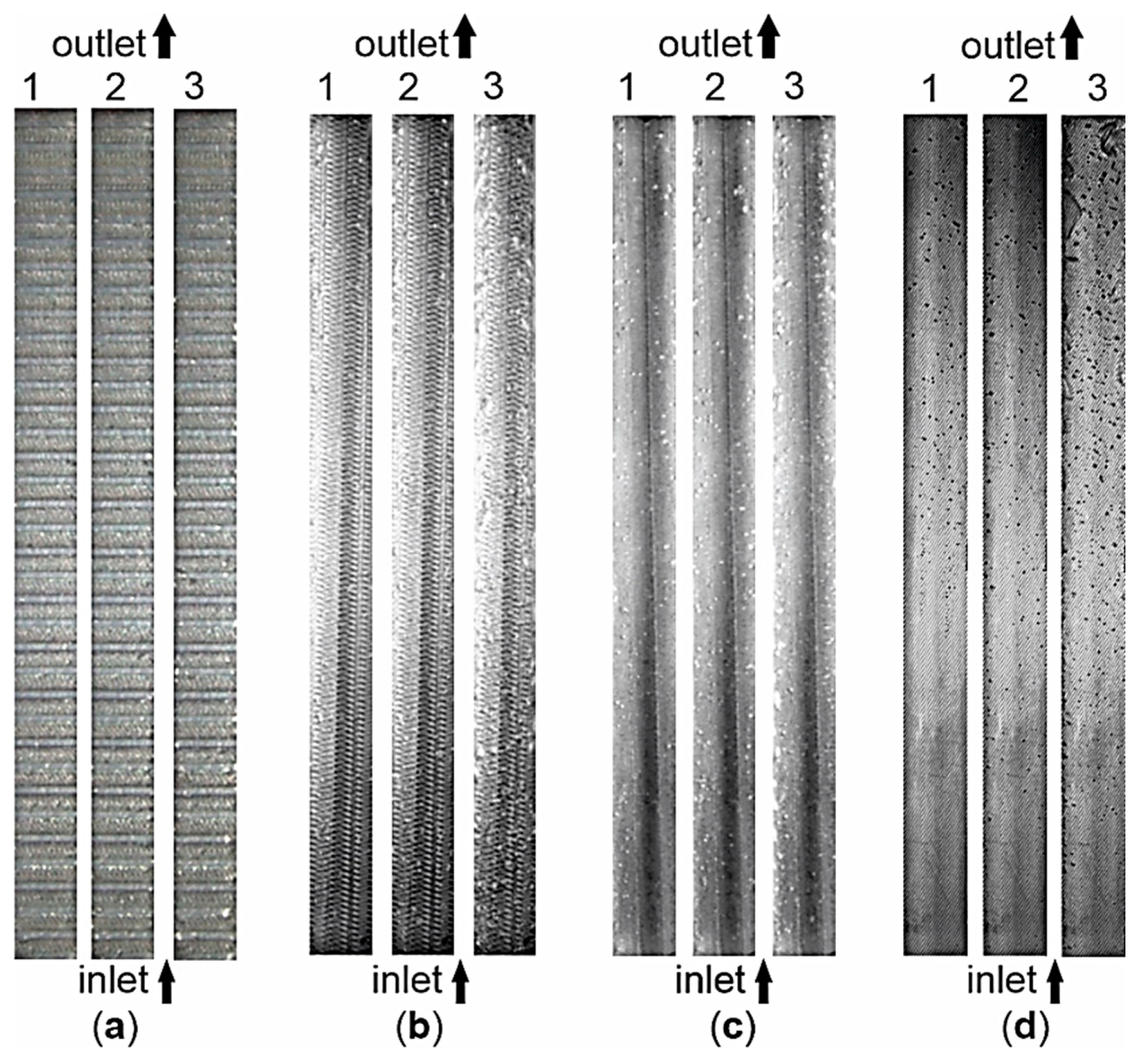 Preprints 140812 g010