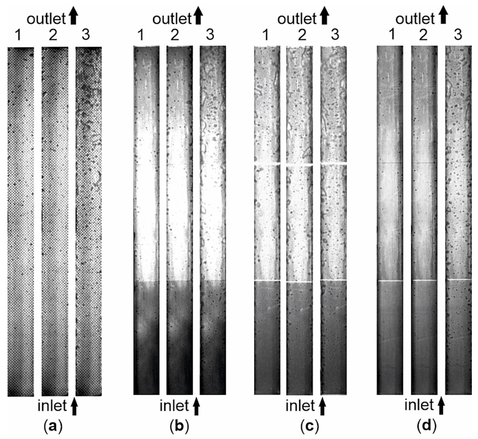 Preprints 140812 g011