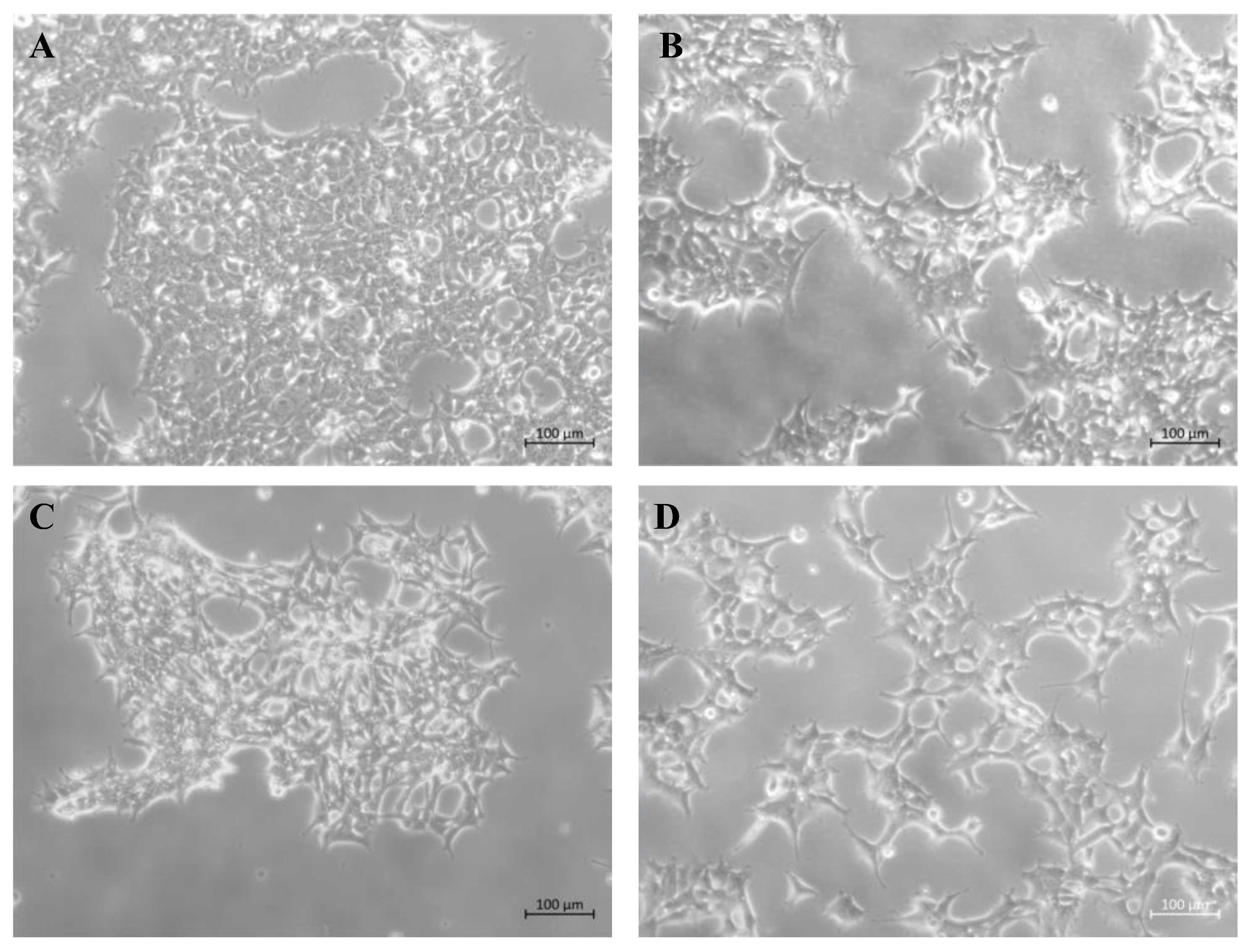Preprints 163652 g004