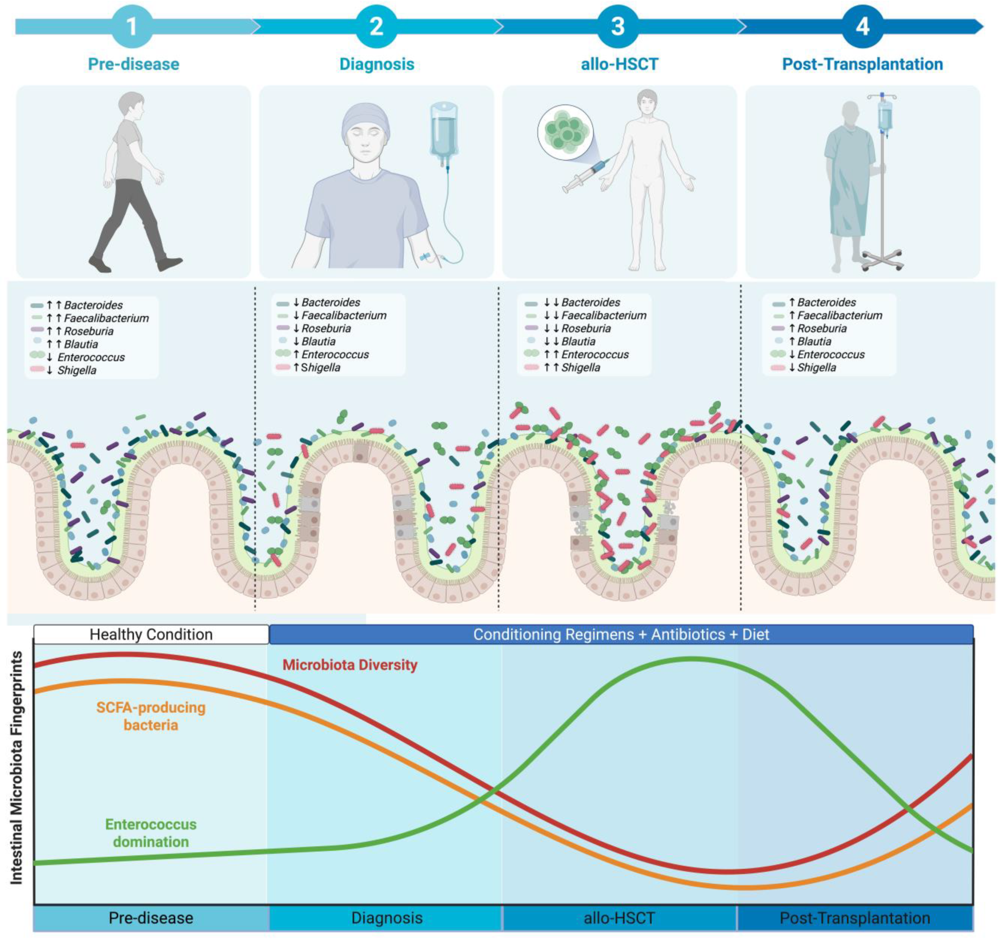 Preprints 174229 g001