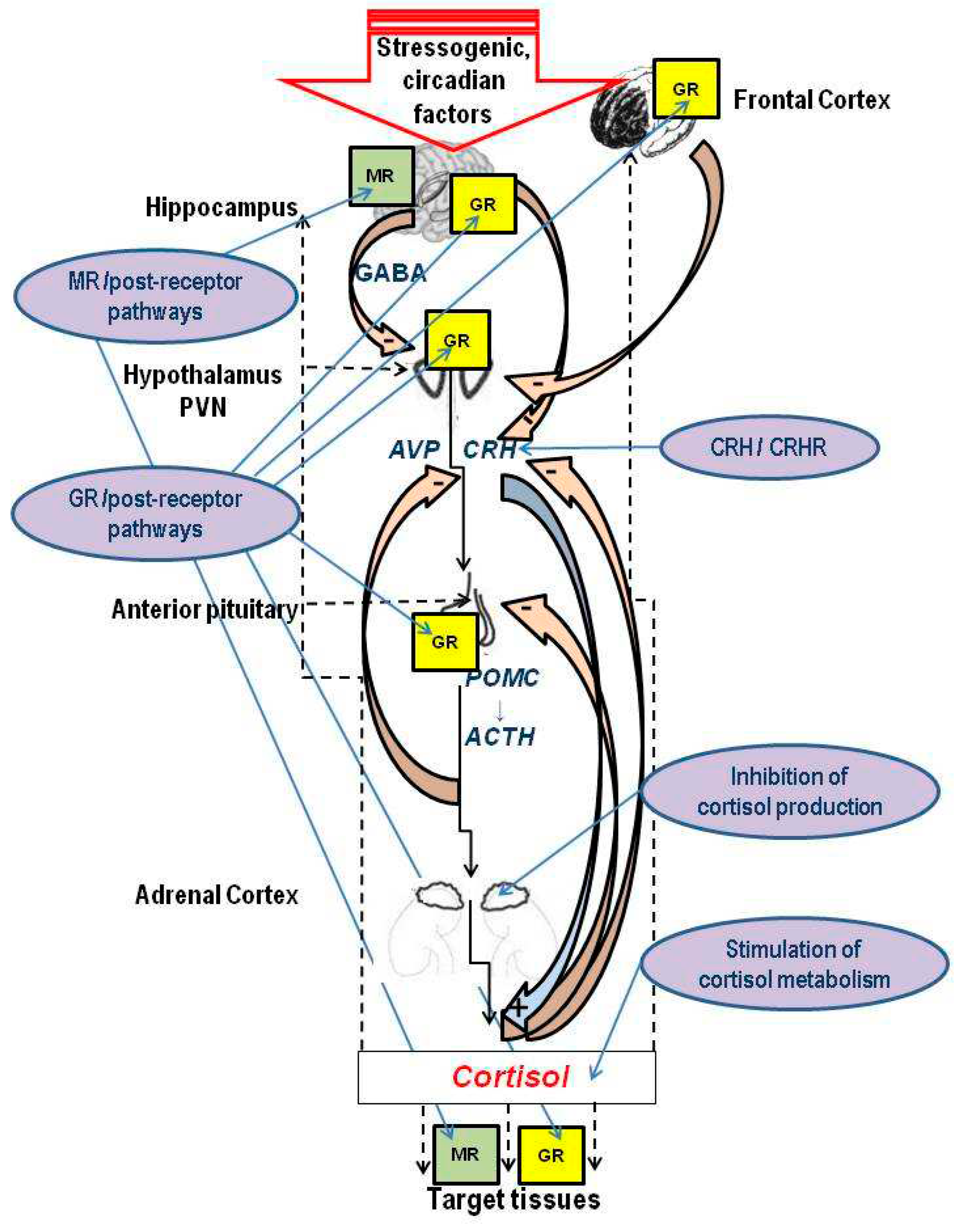 Preprints 96740 g001