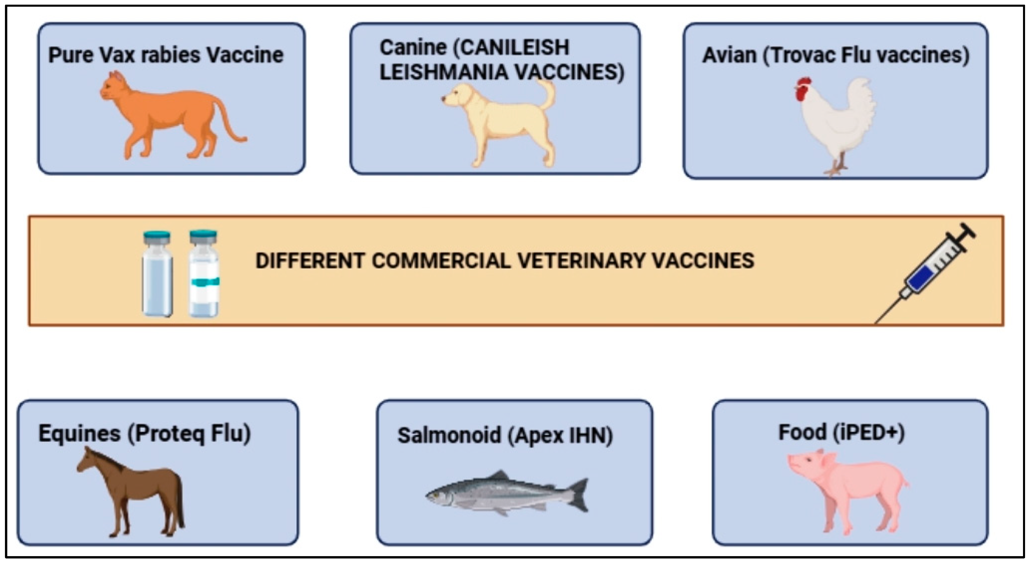 Preprints 107823 g001