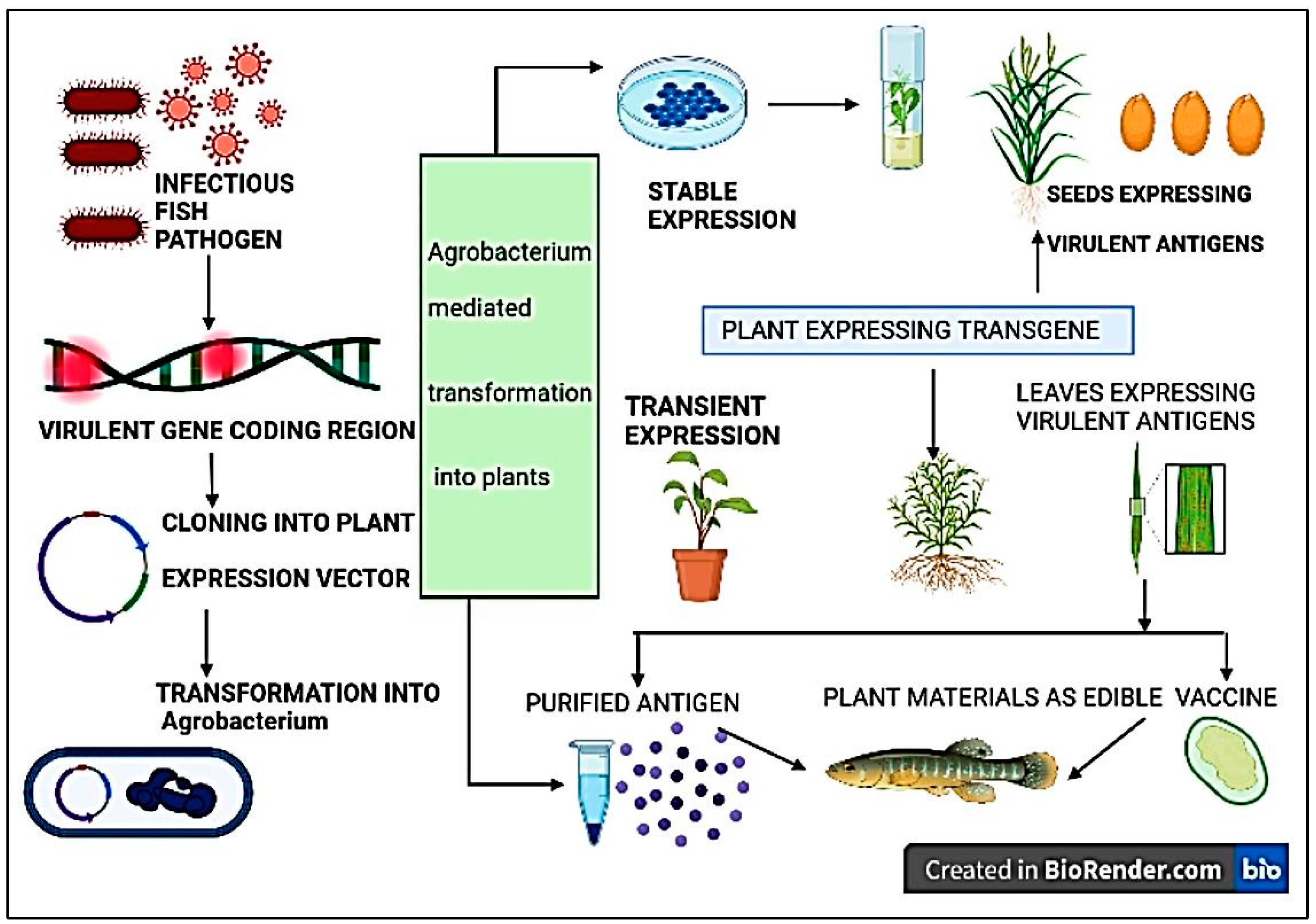 Preprints 107823 g005