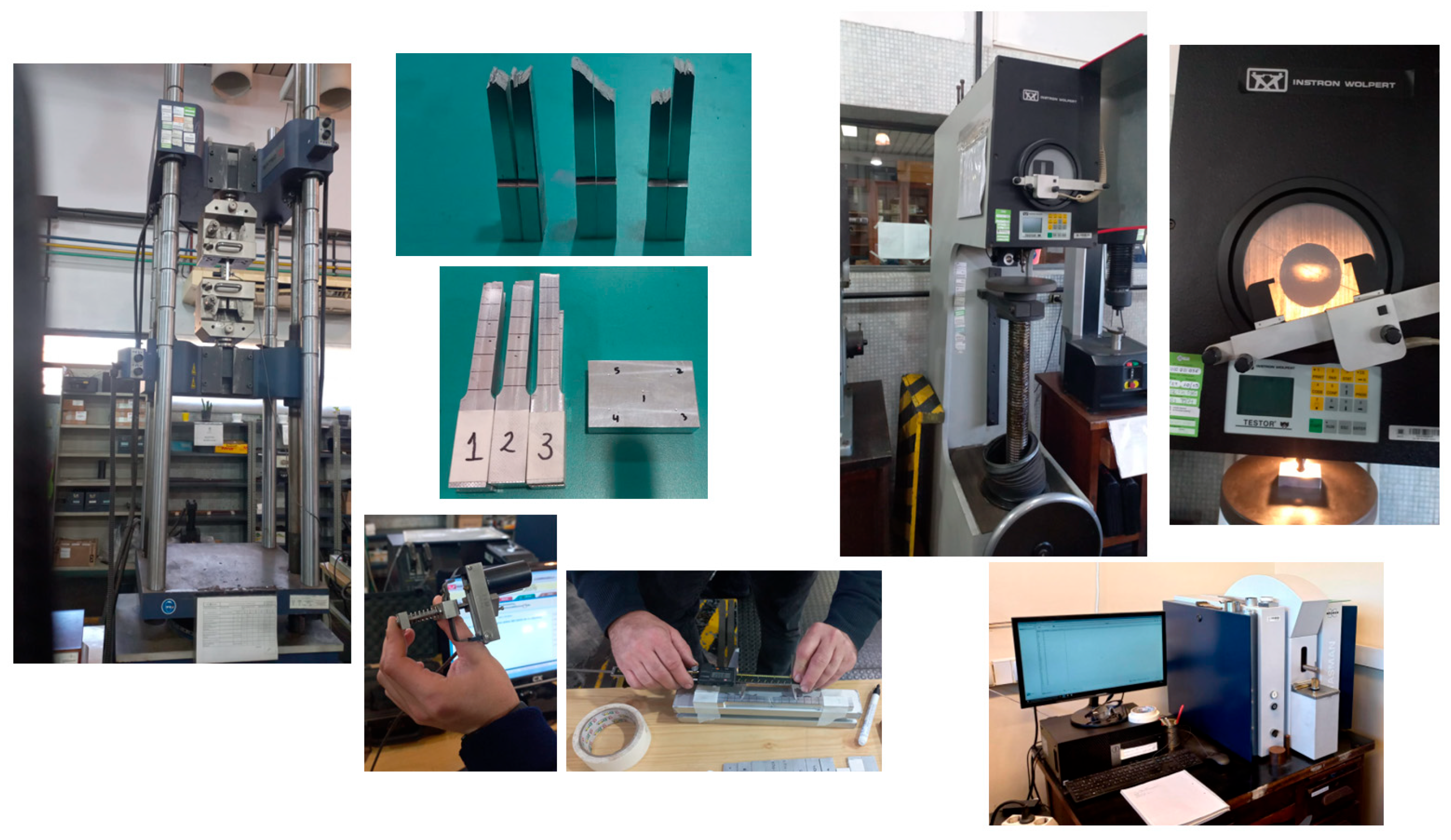 Preprints 171761 g011