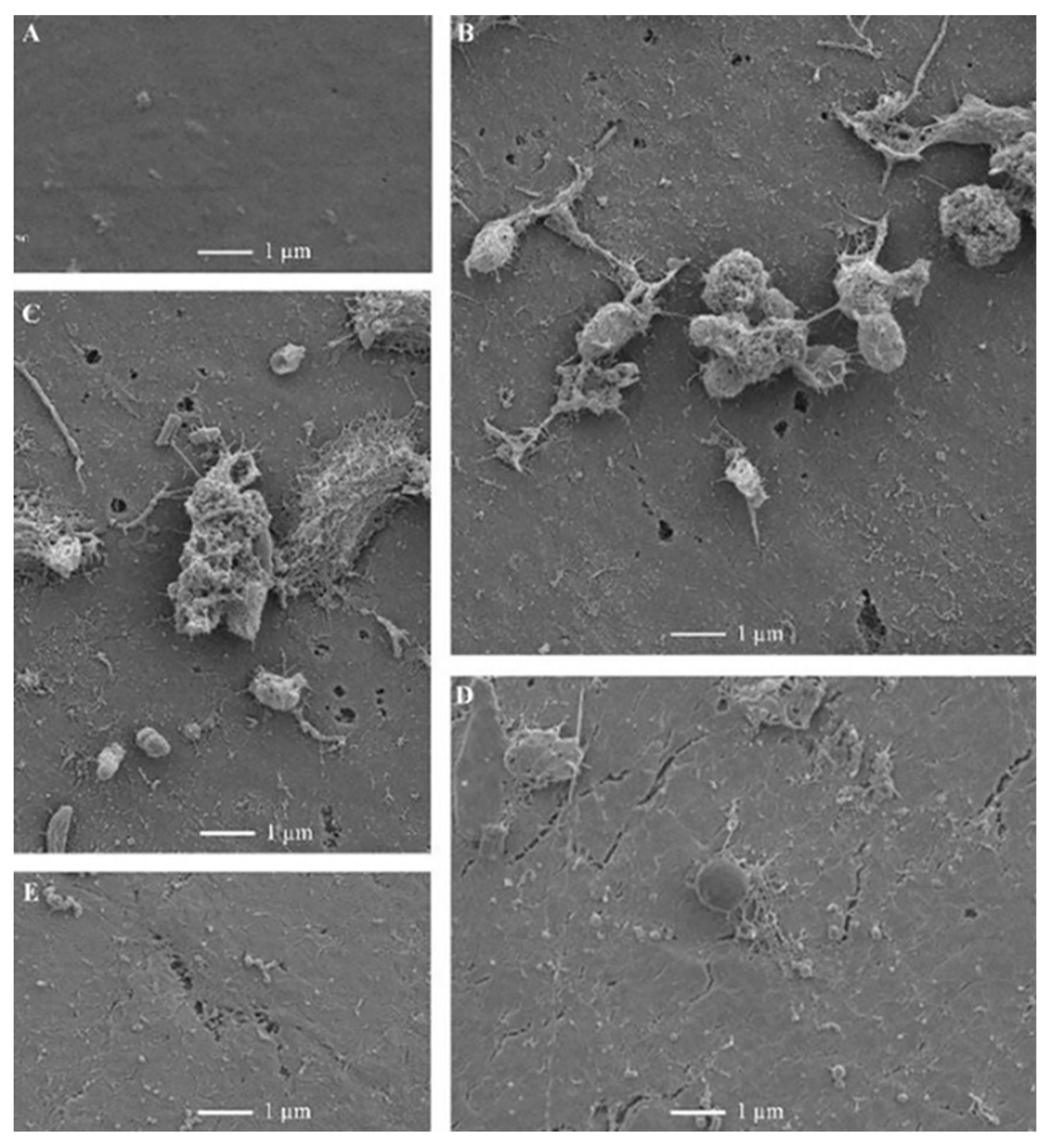 Preprints 217715 g003 Preprints 217715 g003