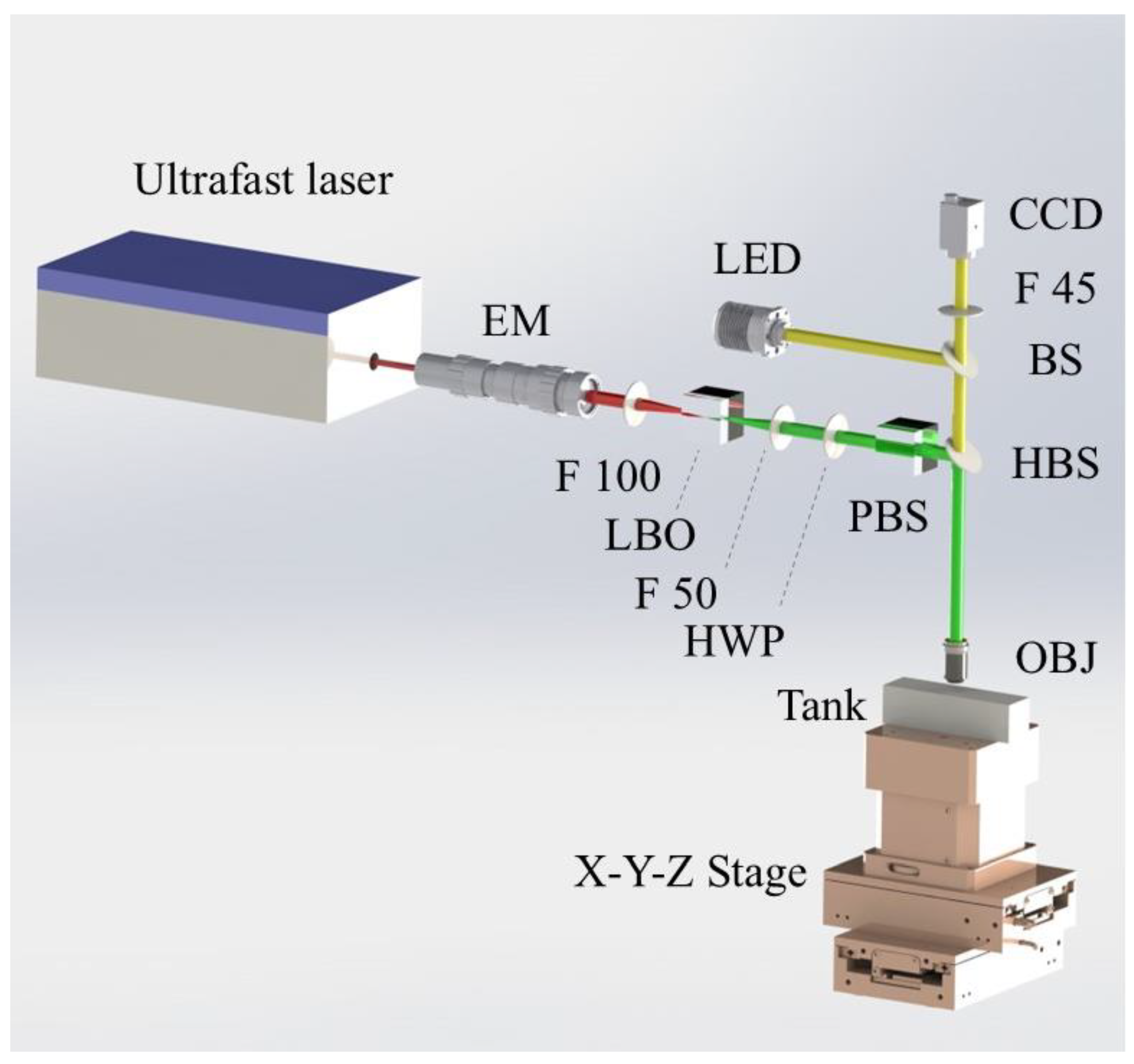Preprints 170009 g002