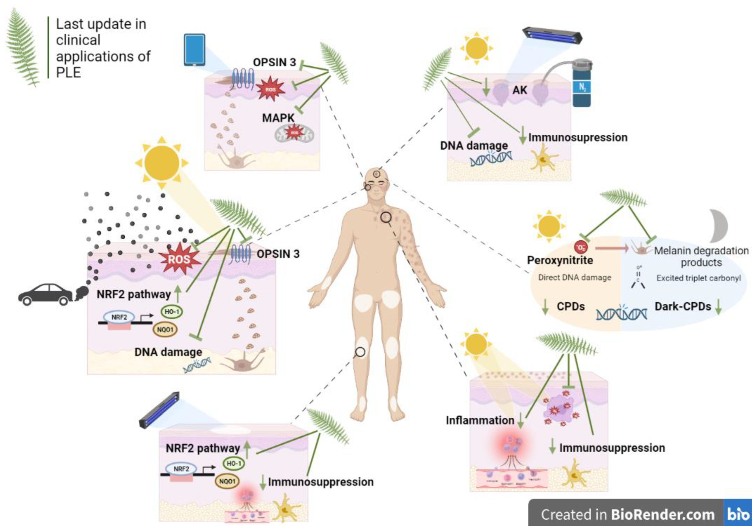 Preprints 77387 g001