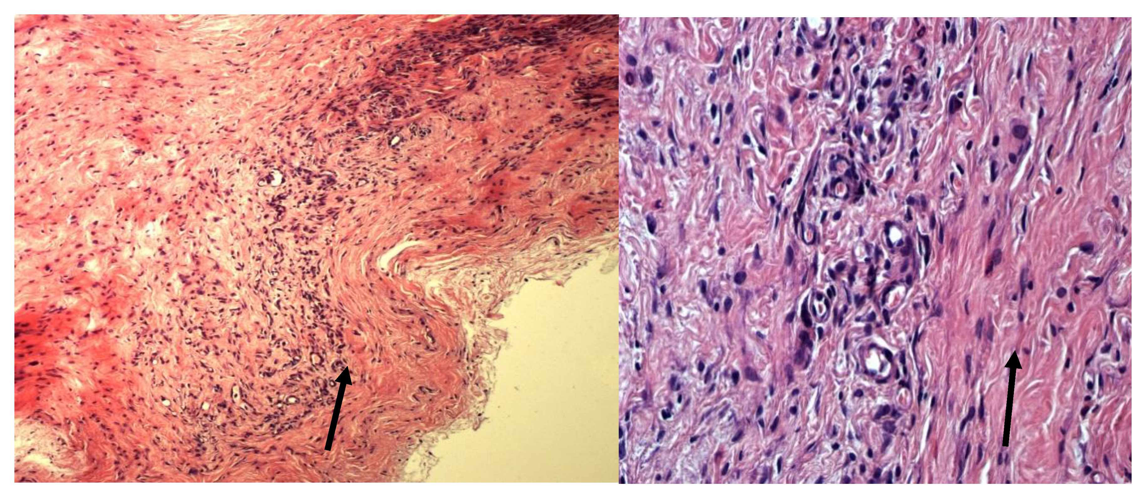 Preprints 188131 g001